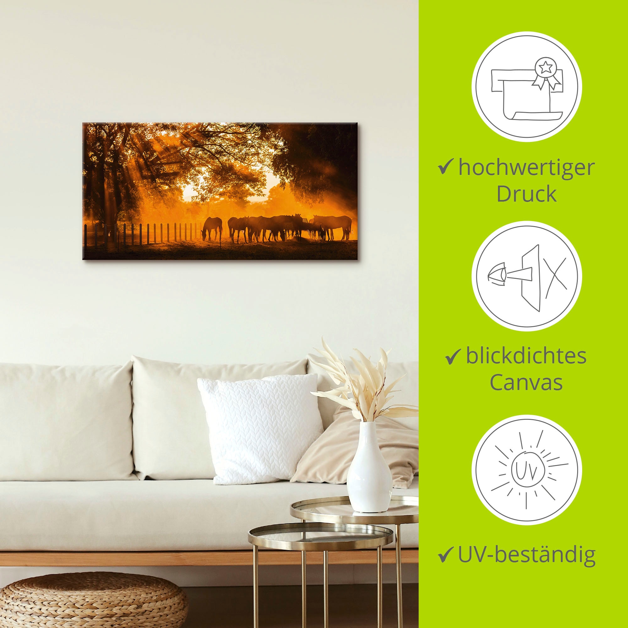 Artland Leinwandbild »Goldenes Licht auf der Pferdewiese« Haustiere 1 Stk. tlg. auf Holzrahmen gespannt