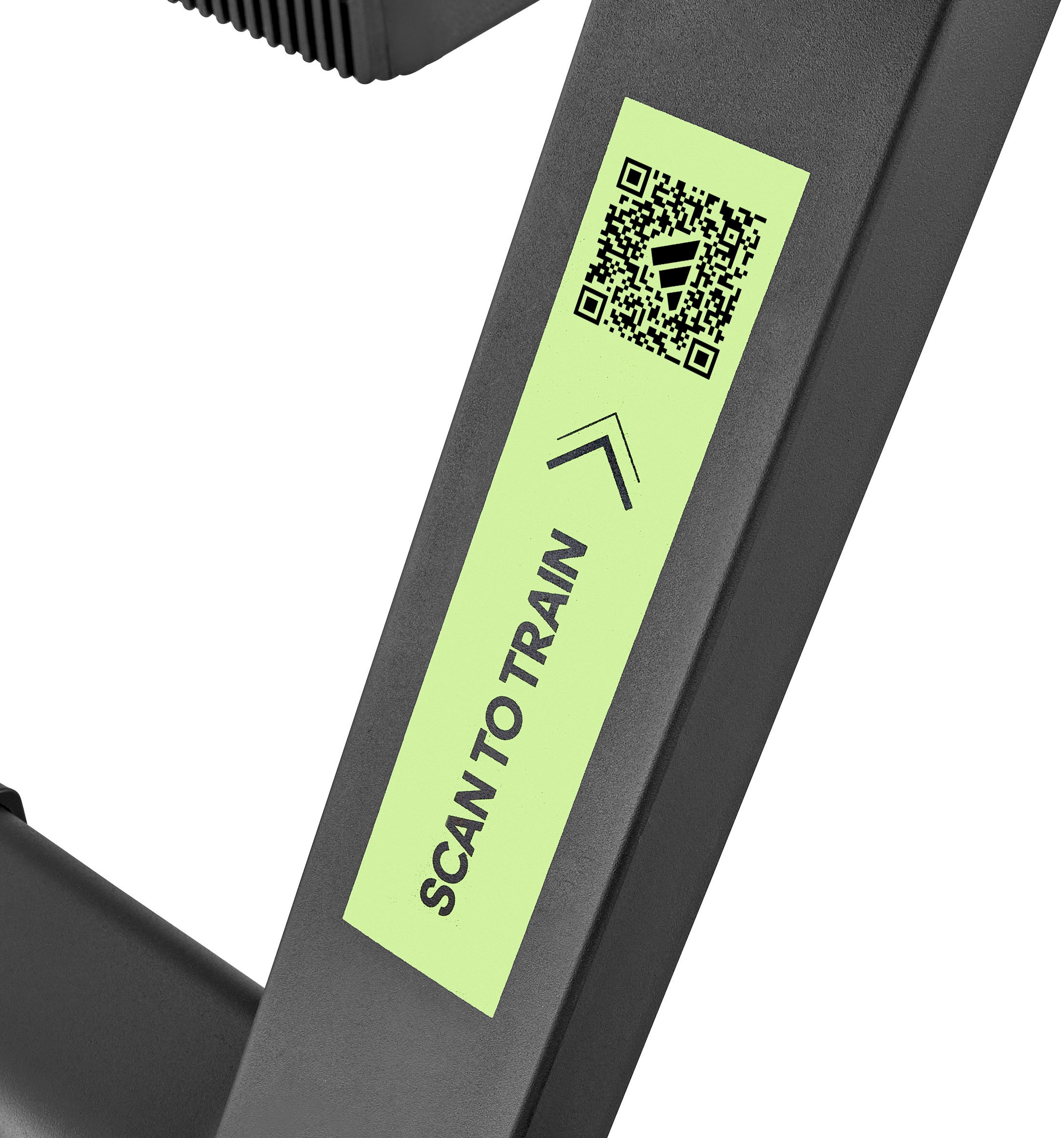adidas Performance Trainingsbank »Trainingsbank mit Curlpult und Beincurler«