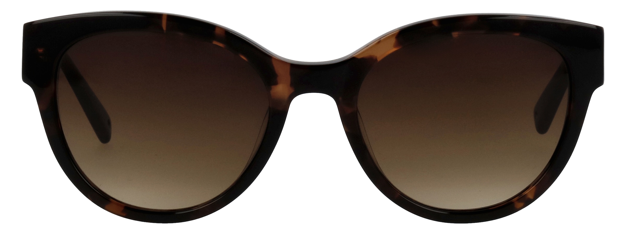 BRENDEL eyewear Sonnenbrille »Modell 906209« Form Panto, Logoschriftzug auf Bügel, Kunststofffassung