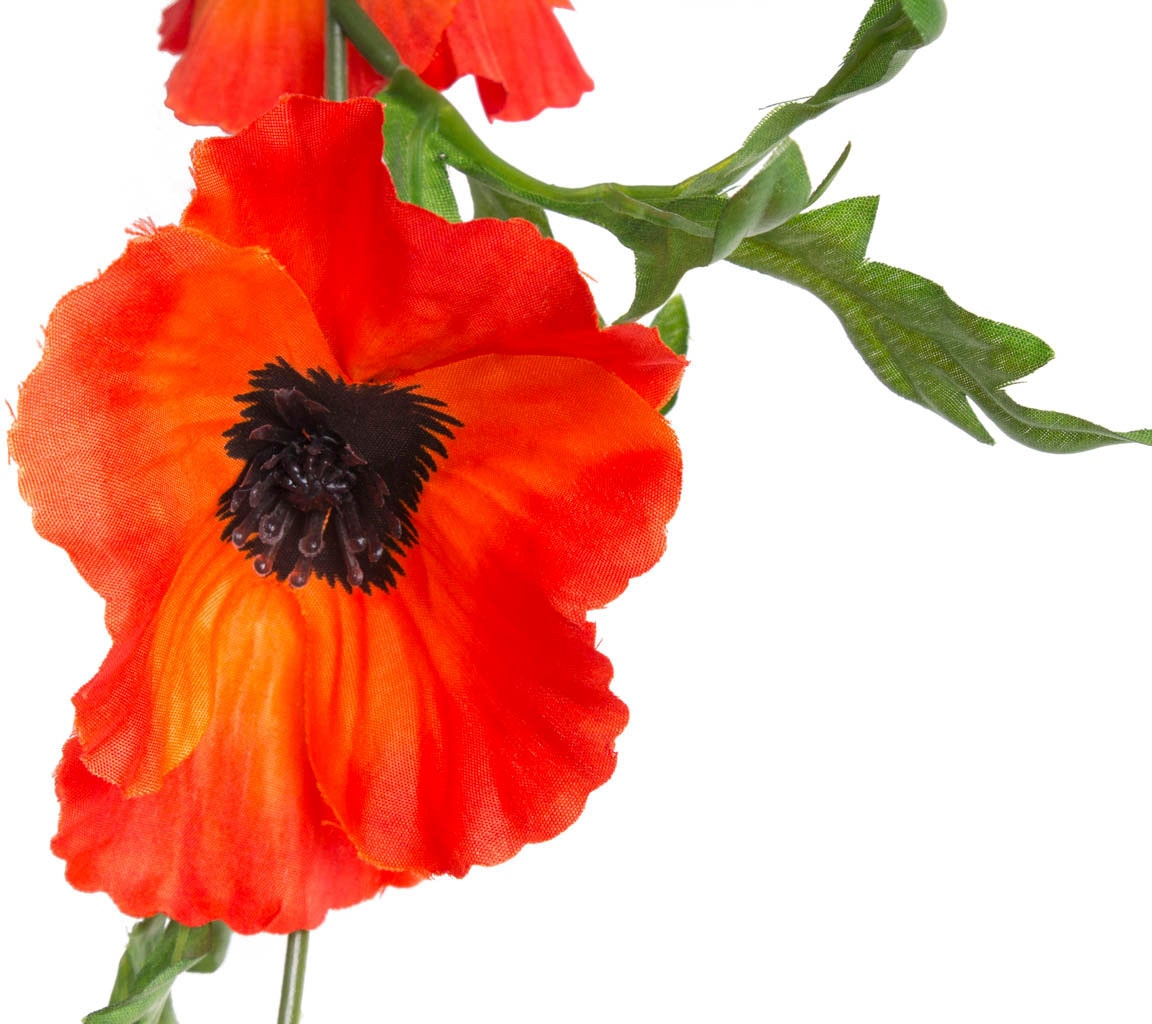 auf kaufen Kunstblume »Mohnblumen Girlande« Botanic-Haus Raten