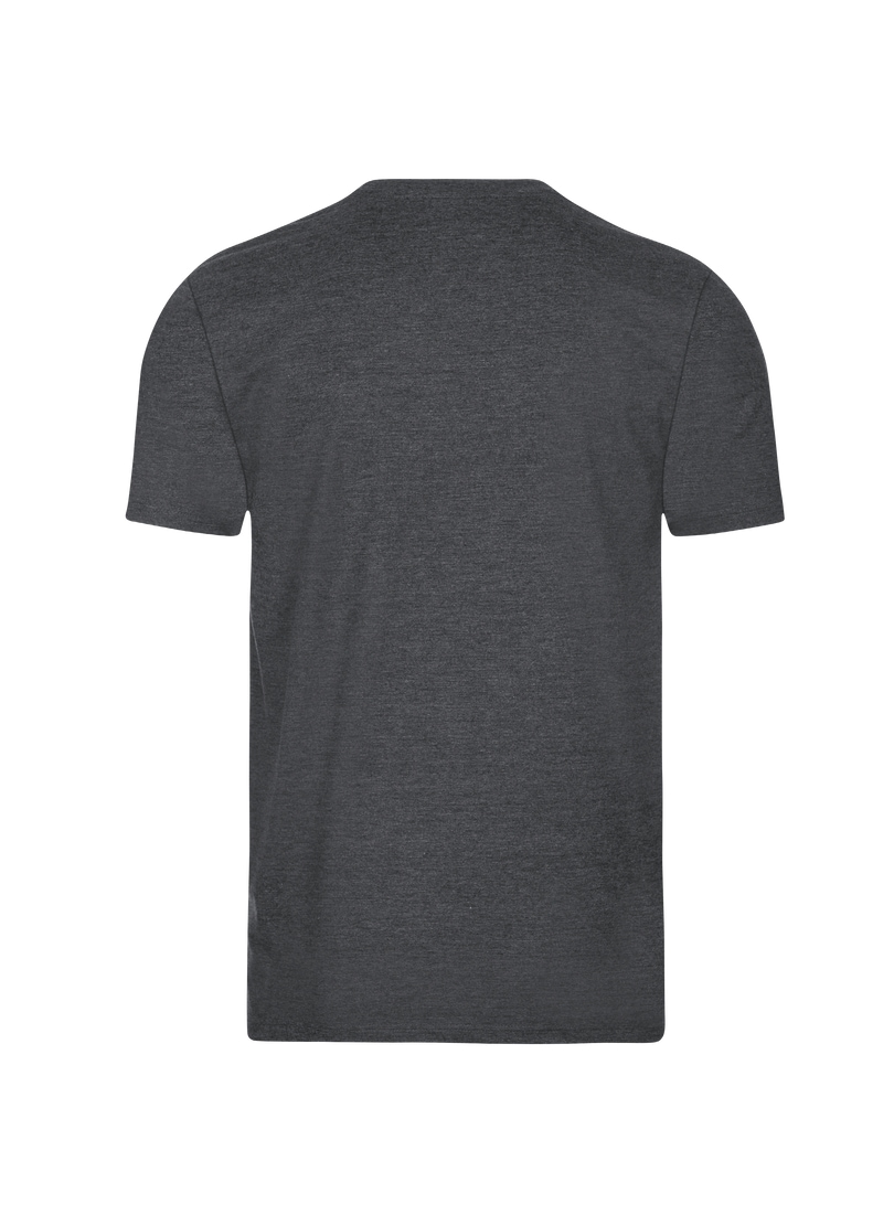 Trigema T-Shirt »TRIGEMA V-Shirt bei ♕ Baumwolle« DELUXE