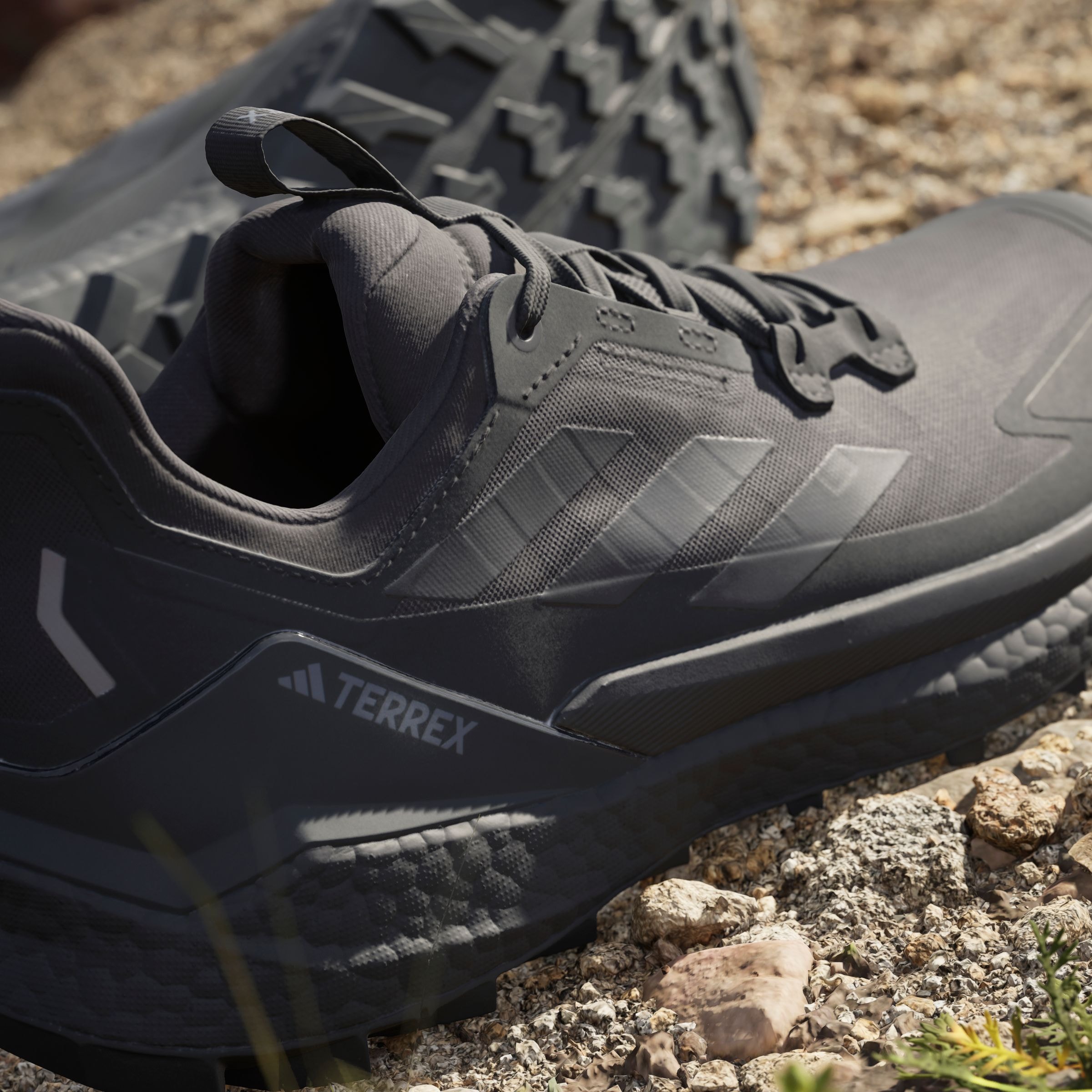 adidas TERREX Wanderschuh »TERREX FREE HIKER 2.0 LOW«