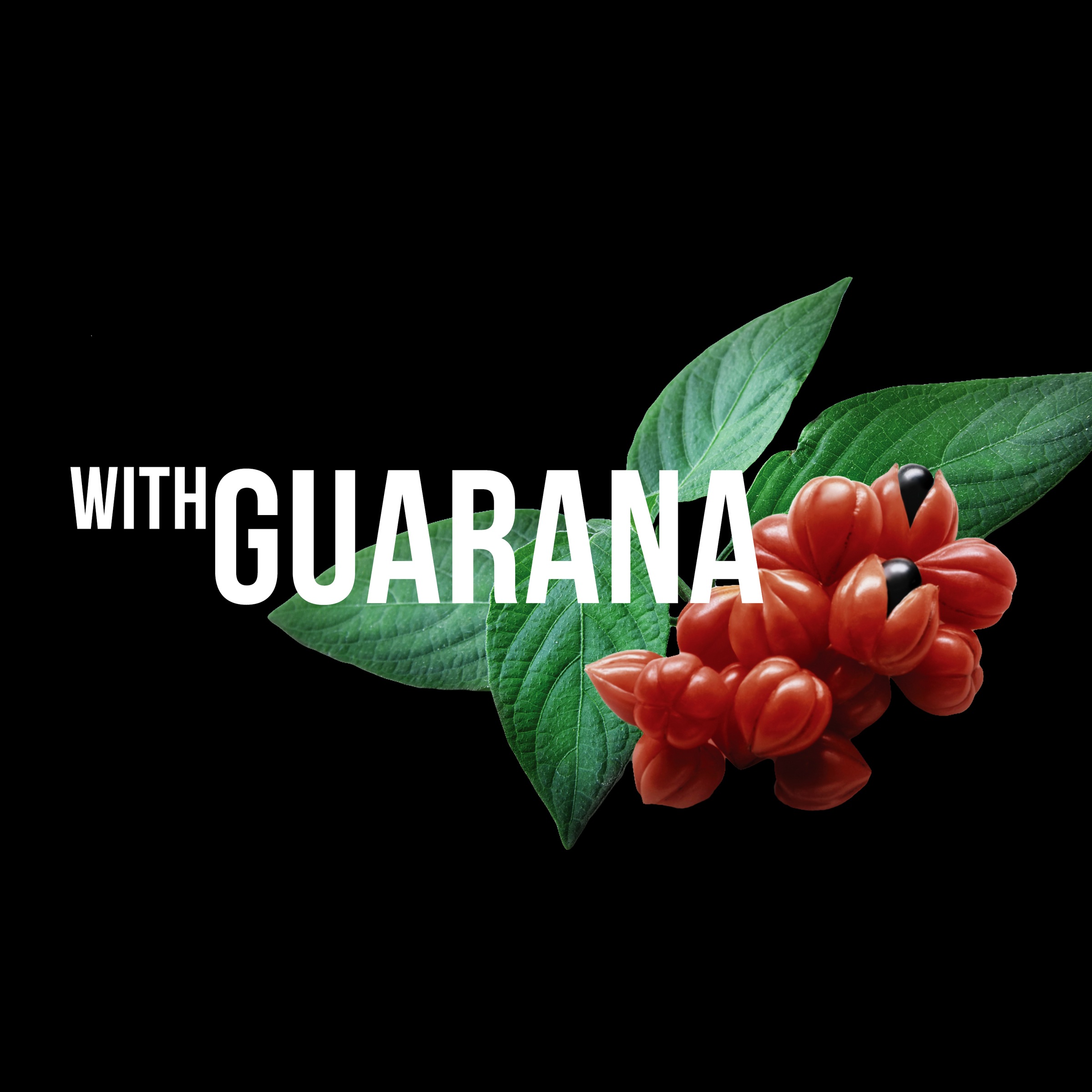 SEB Man Haarshampoo »The Purist Reinigendes Shampoo« hilft bei Schuppen, für normales bis schnell fettendes Haar