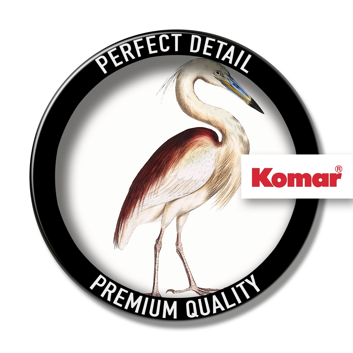 Komar Leinwandbild »Uncommon Bird - Größe 40 x 40 cm« Natur 1 Stk. tlg. Keilrahmenbild mi Echtholzrahmen