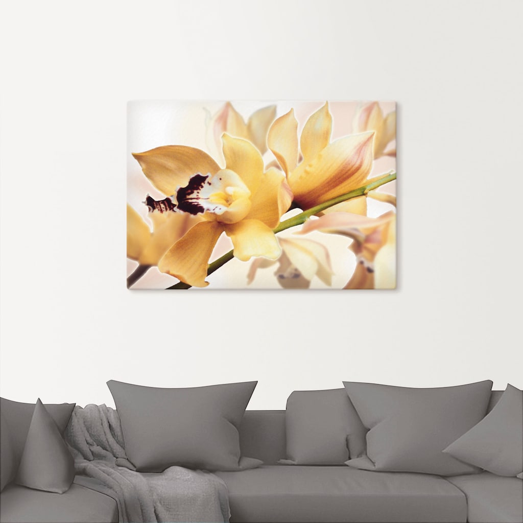 Artland Wandbild »Gelbe Orchidee«, Blumenbilder, (1 St.)