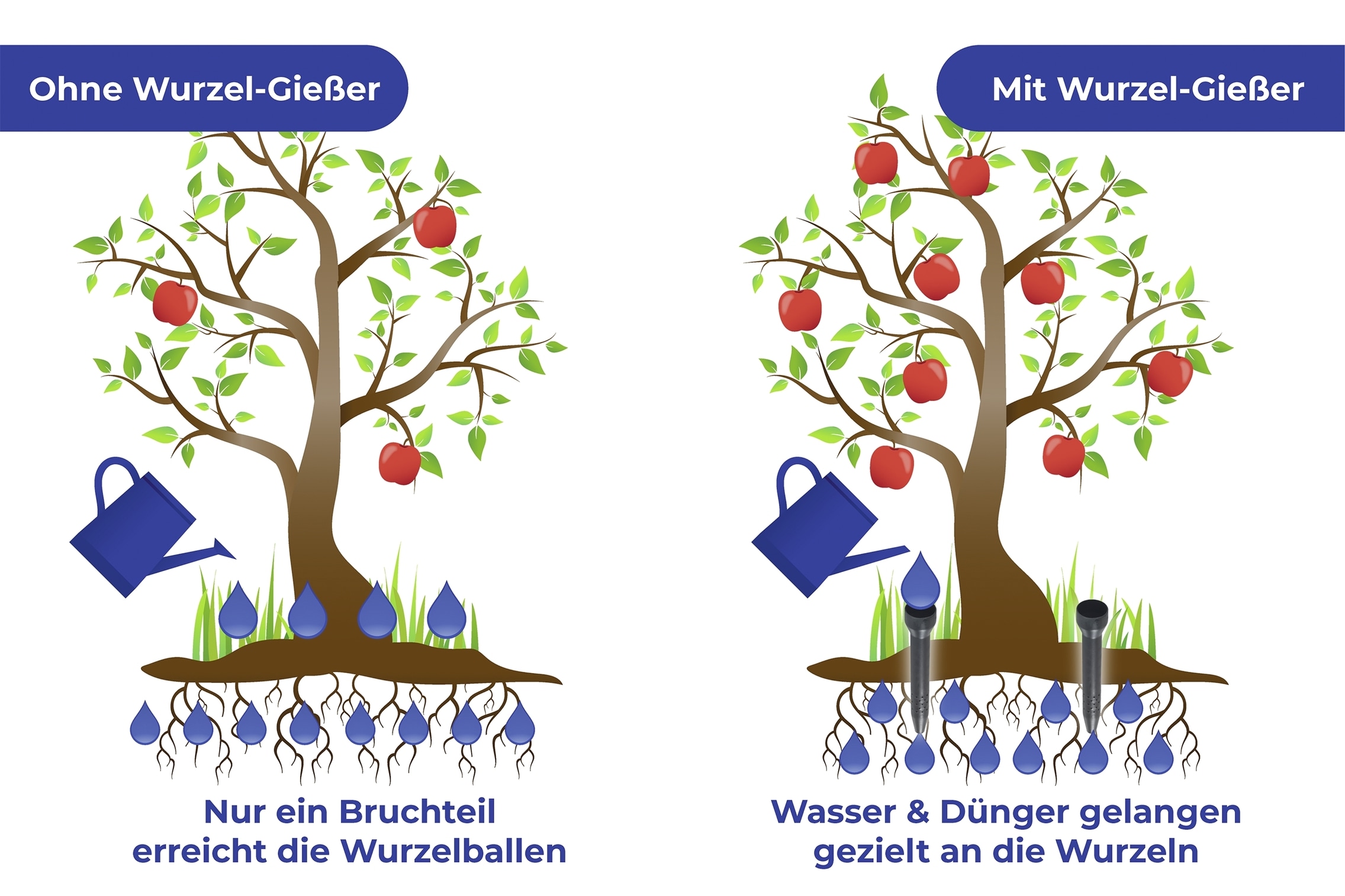 Maximex Bewässerungssystem (Set, 6 Stk. tlg.)  Wurzel-Gießer, ØxH: 5,5x30 cm