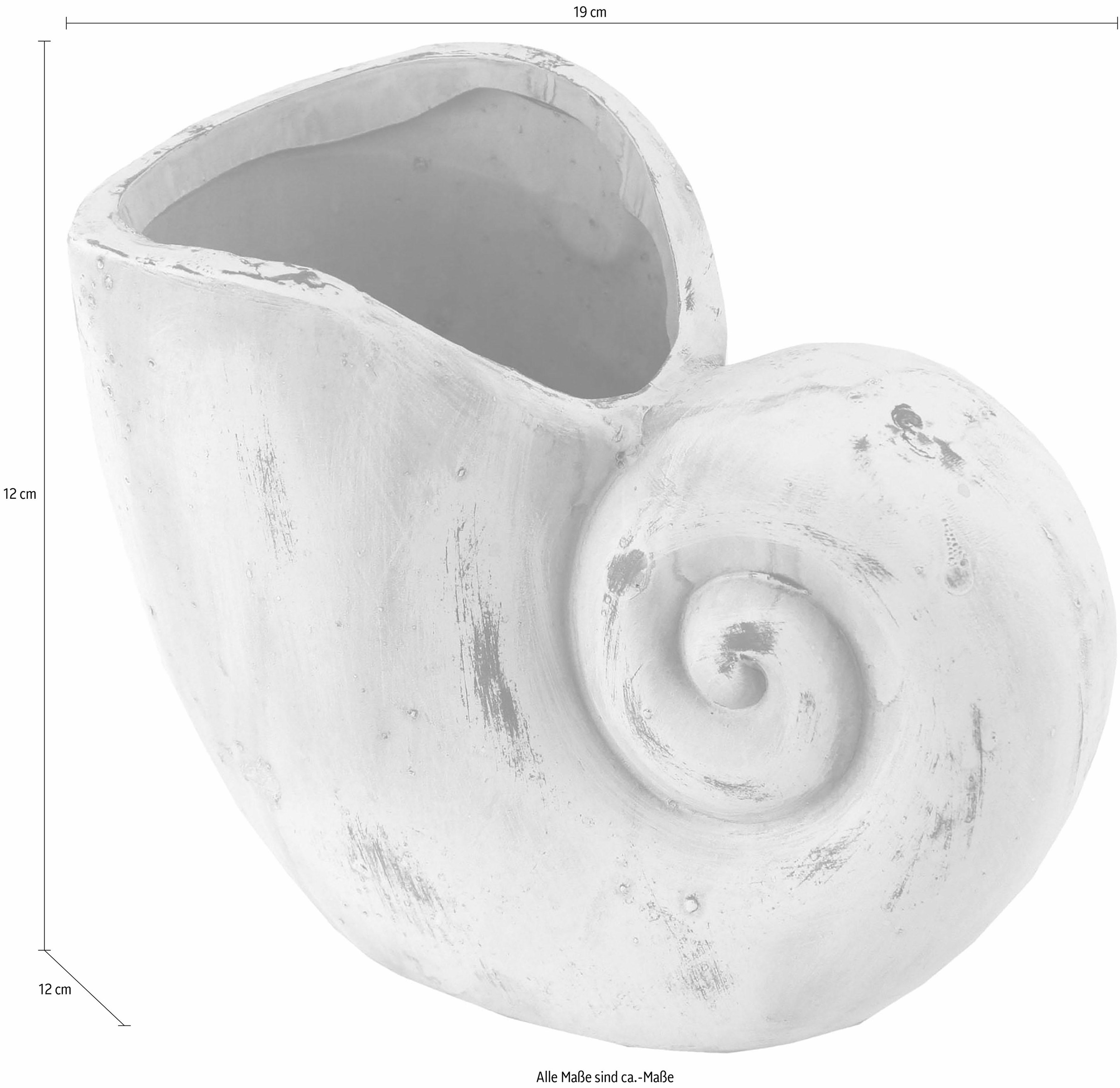 I.GE.A. Übertopf »Pflanzgefäß Muschel«, (Set, 2