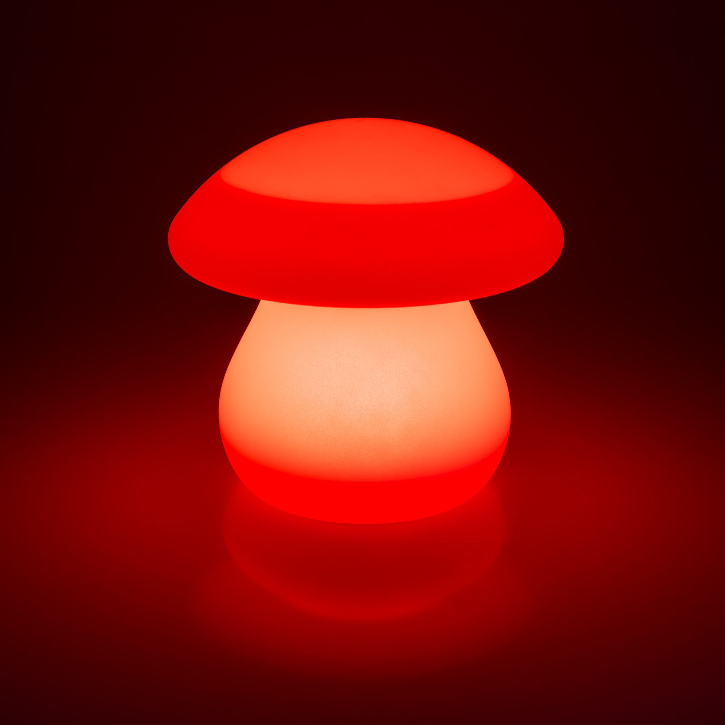 my home LED Solarleuchte »Elowyn, LED-Solar Pilz« LED-Modul 1 Stk. RGB | Warmweiß mit Erdspieß und Fernbedienung