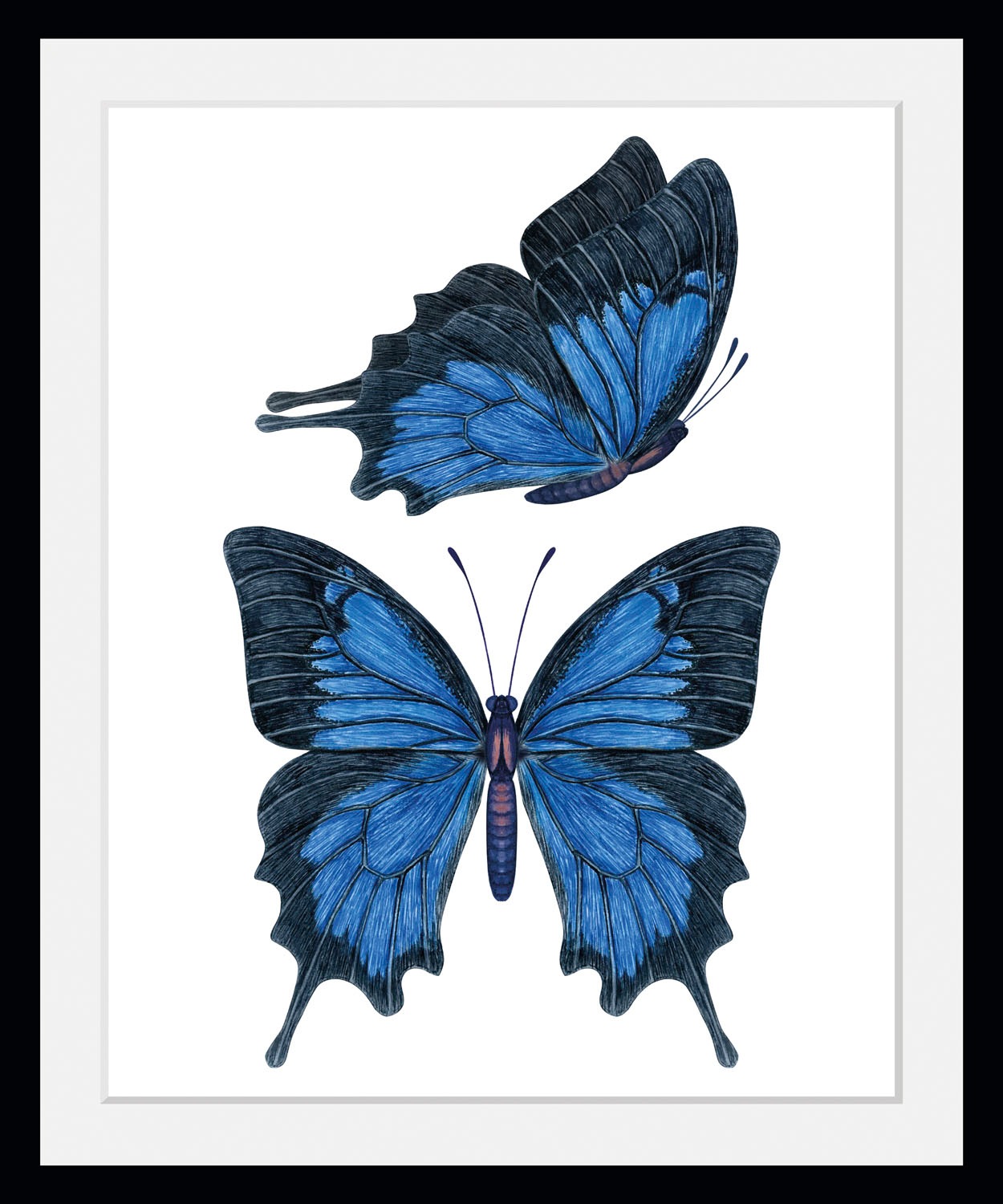 queence Bild »Amanda«, Schmetterlinge-Kunst-Insekten, (1 St.), HD Premium Poster-Druck inkl. Holzrahmen