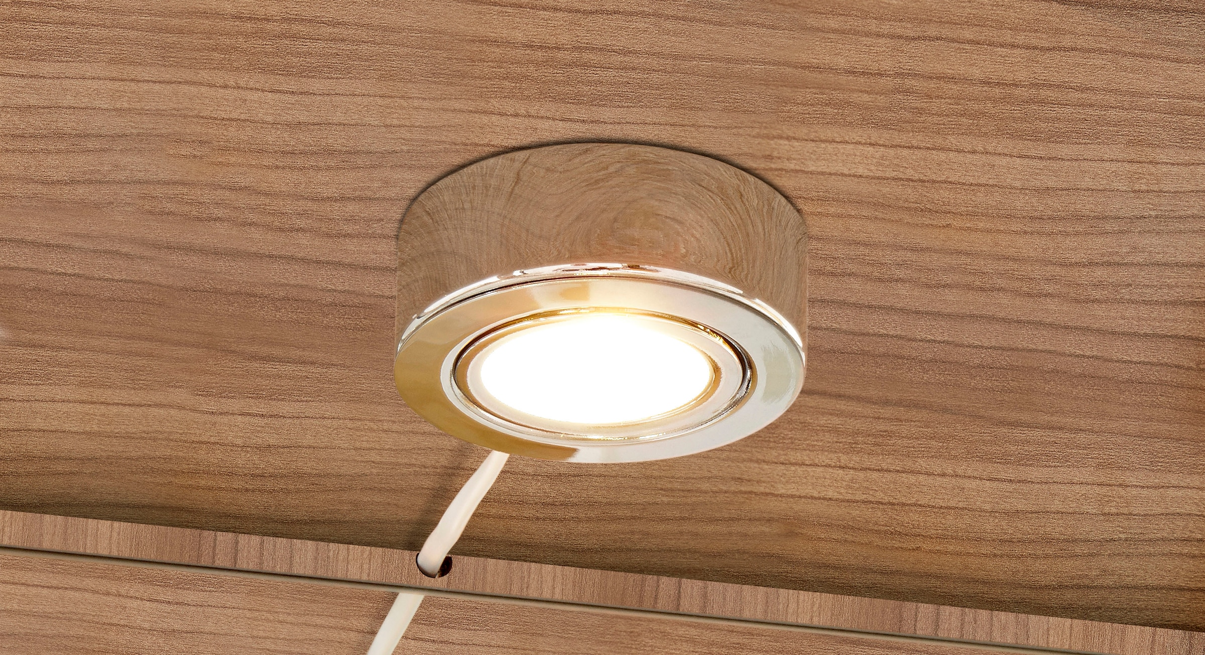 fif möbel Vitrine »OPTIMA«, Standvitrine/Glasvitrine 2x Glastür,perfekt für Sammler,Sammlervitrine