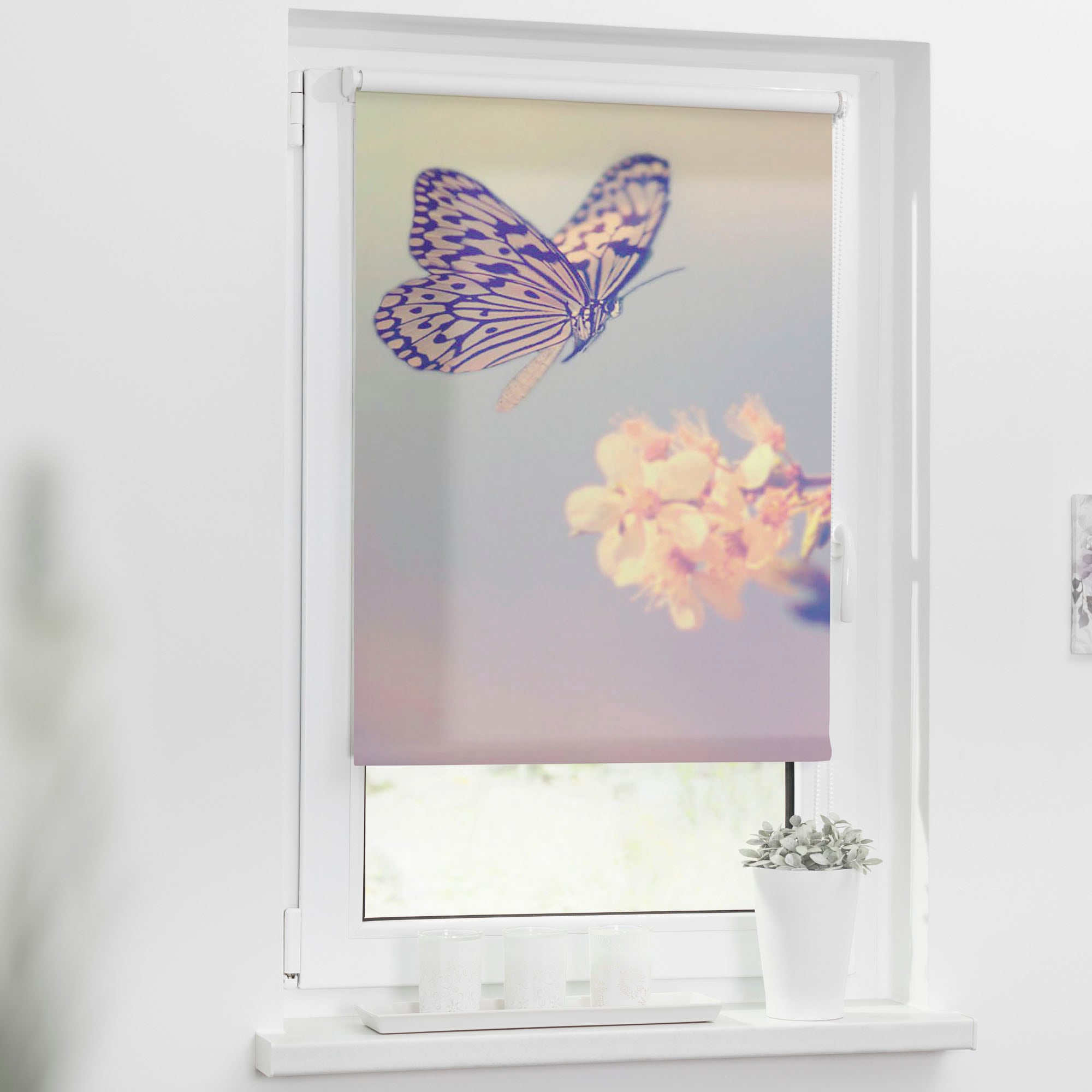 LICHTBLICK ORIGINAL Seitenzugrollo mit kaufen Lichtschutz, | 3 Schmetterling«, Jahren Bohren, freihängend, Garantie Motiv online ohne »Klemmfix XXL bedruckt