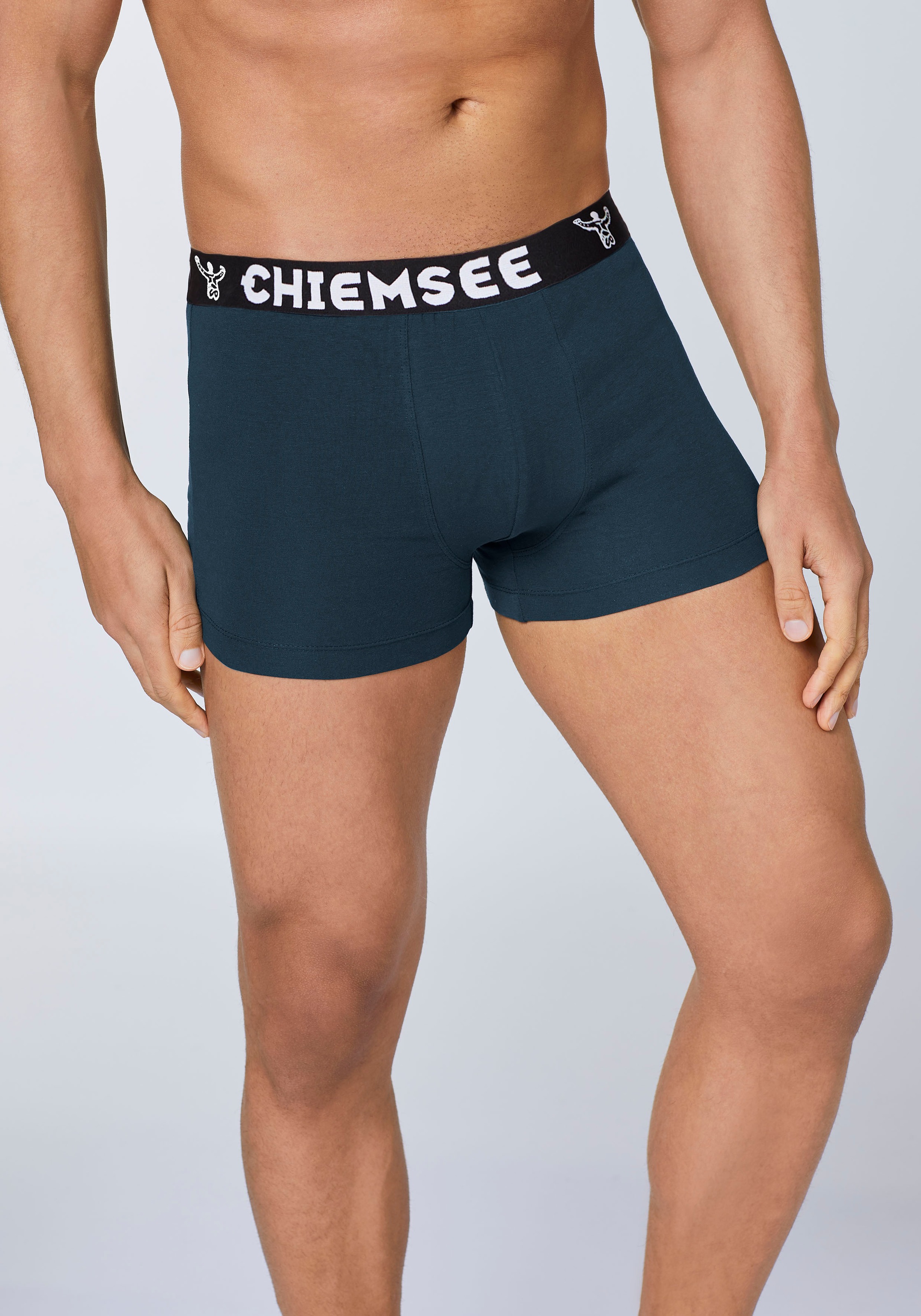 Chiemsee Retro Boxer