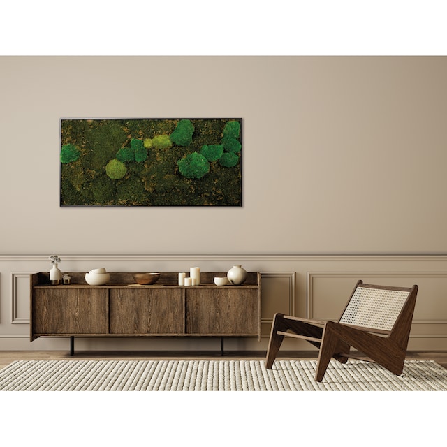 Bönninghoff Bild mit Rahmen »Mixmoos«, Natur, (1 St.), jedes Bild ein  Unikat, BxH: 120x60 cm auf Raten kaufen
