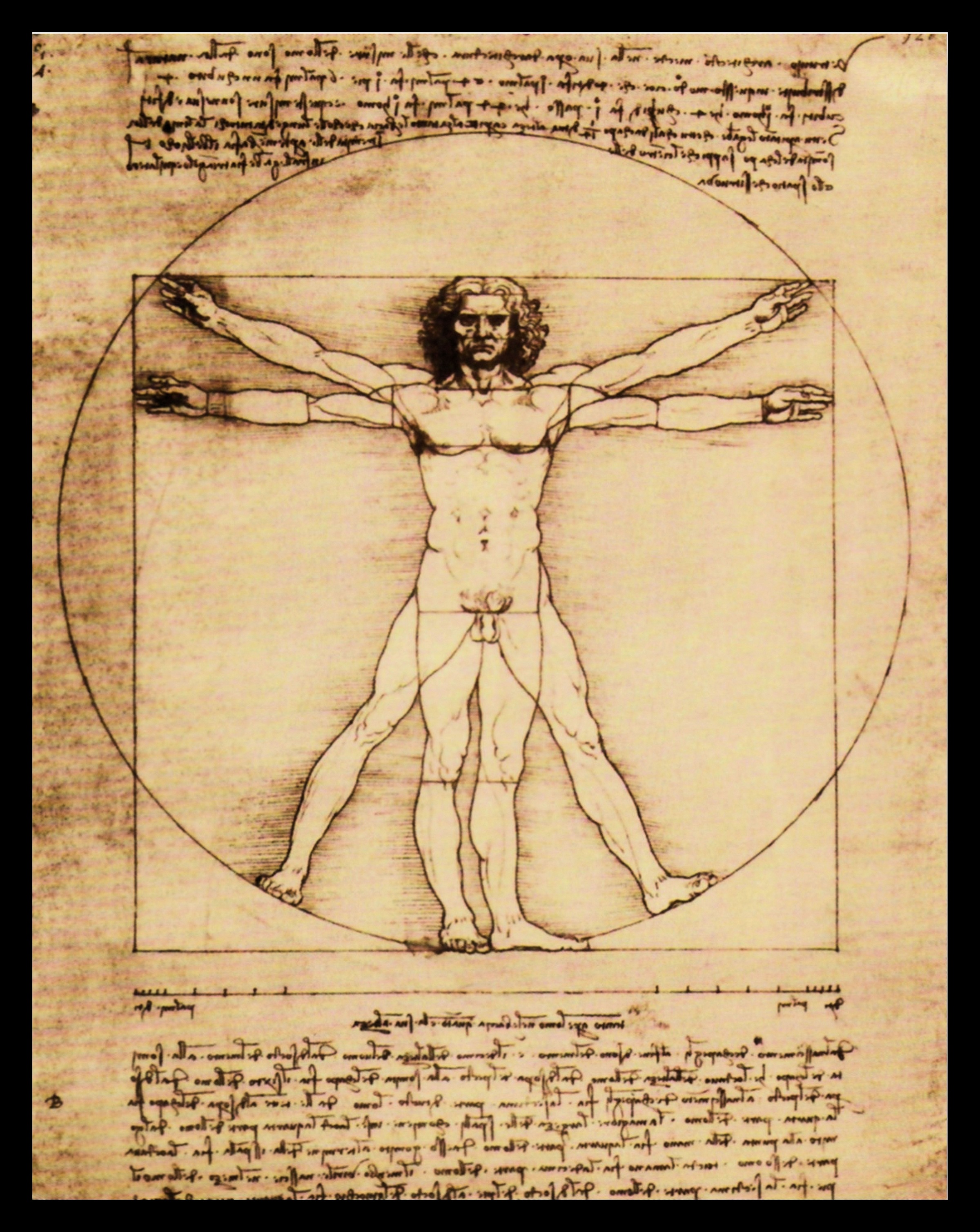 my home Bild mit Rahmen »L.DA VINCI / Schema della Proporzioni«, (1 St.) kaufen