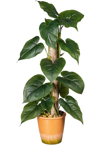 Creativ green Künstliche Zimmerpflanze »Blattpflanze Anthurium«, (1 St.), im Paperpot kaufen