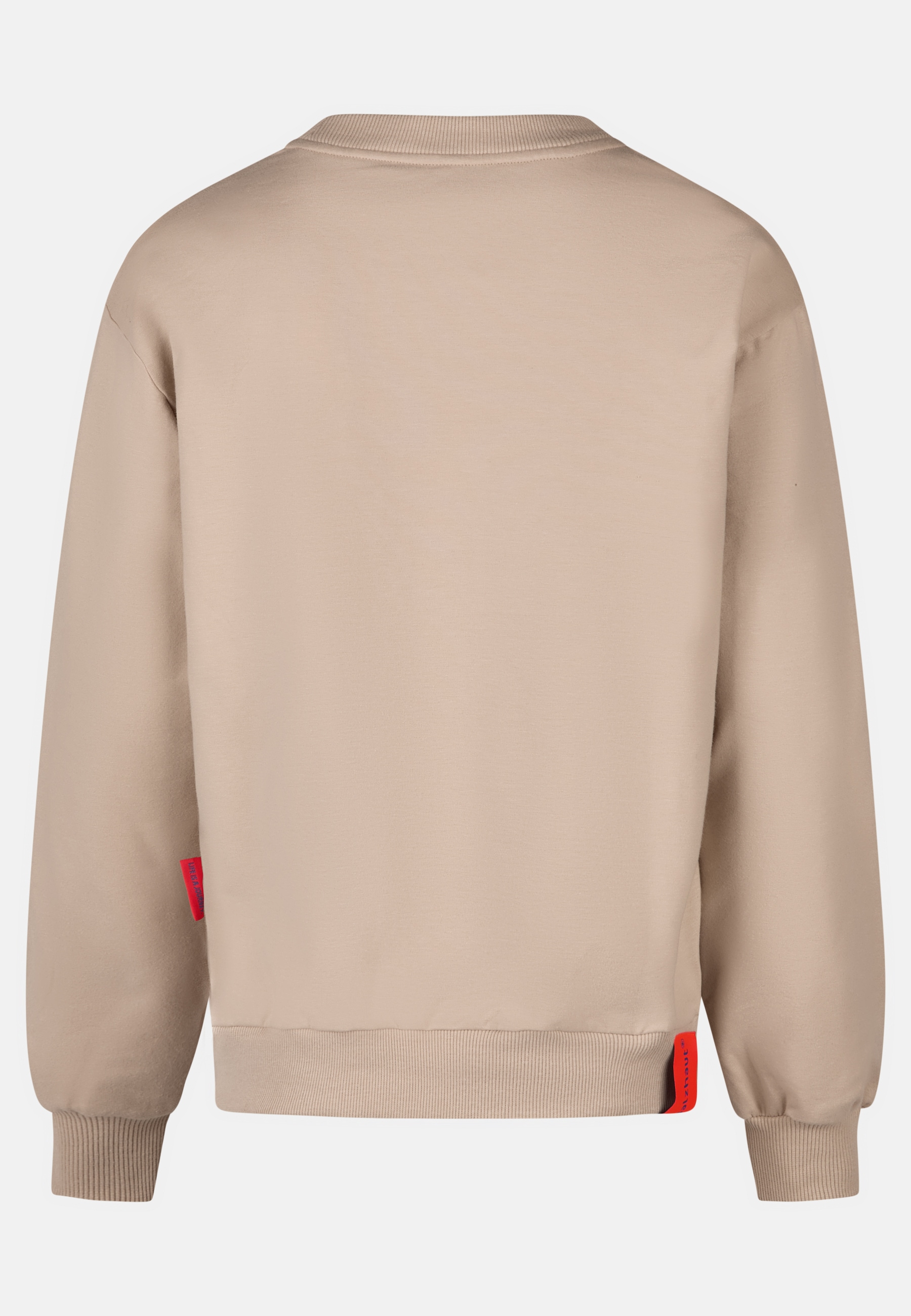 salzhaut Sweatshirt »Sweatshirt DINGN«
