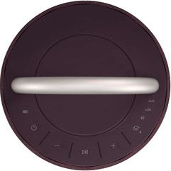 LG Bluetooth-Lautsprecher »XBOOM 360 DRP4«, (1 St.)