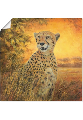 Artland Wandbild »Porträt Gepard«, Geparden Bilder, (1 St.), in vielen Größen &... kaufen