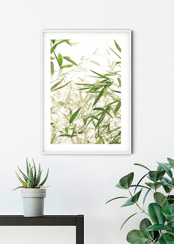 Komar Bild »Bamboo Leaves«, Pflanzen-Blätter, (1 St.), Wandbild zur Dekoration - ohne Rahmen