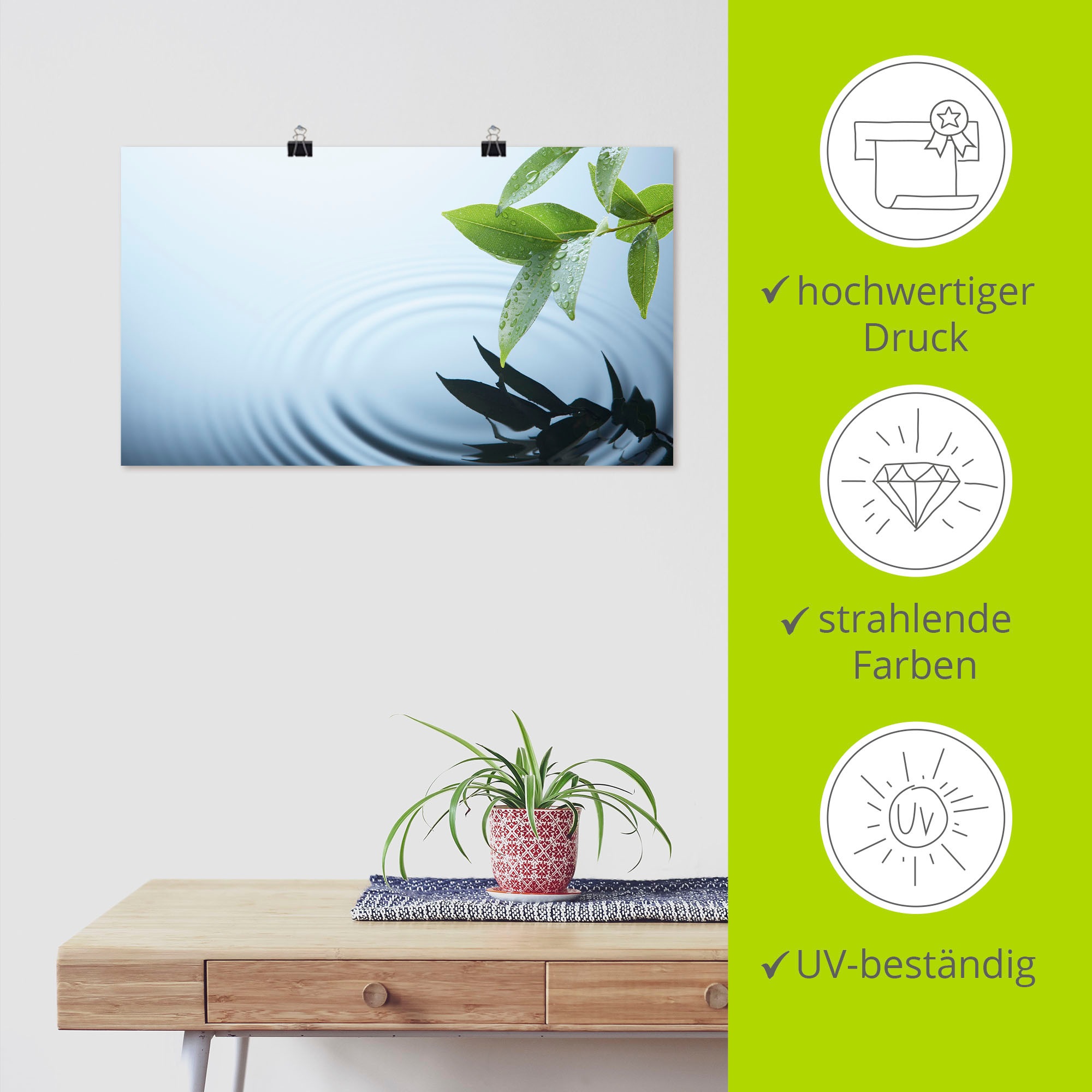Artland Poster »Pflanze und Wasser«, Zen, (1 St.), als Alubild, Leinwandbild, Wandaufkleber oder Poster in versch. Größen