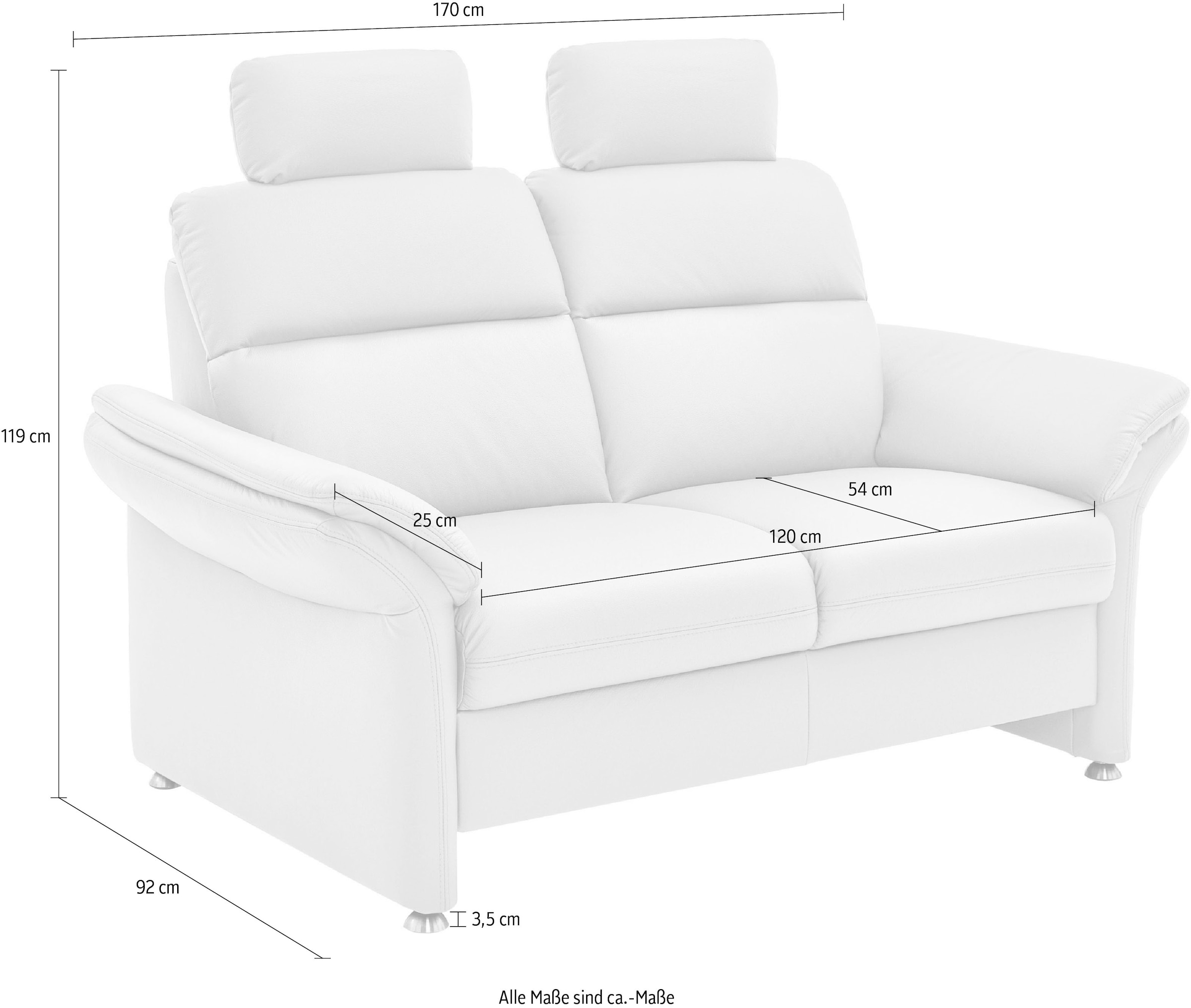 Die PlanBar 2-Sitzer »PN-EM16031, mit Kopfstützen« Echtleder mit Federkern