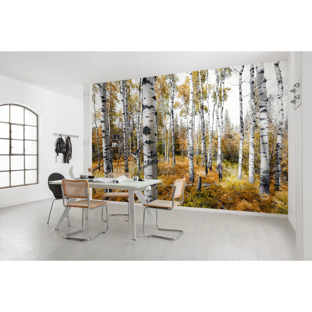 Komar Vliestapete »Colorful Aspenwoods«, 450x280 cm (Breite x Höhe), Wohnzimmer, Schlafzimmer