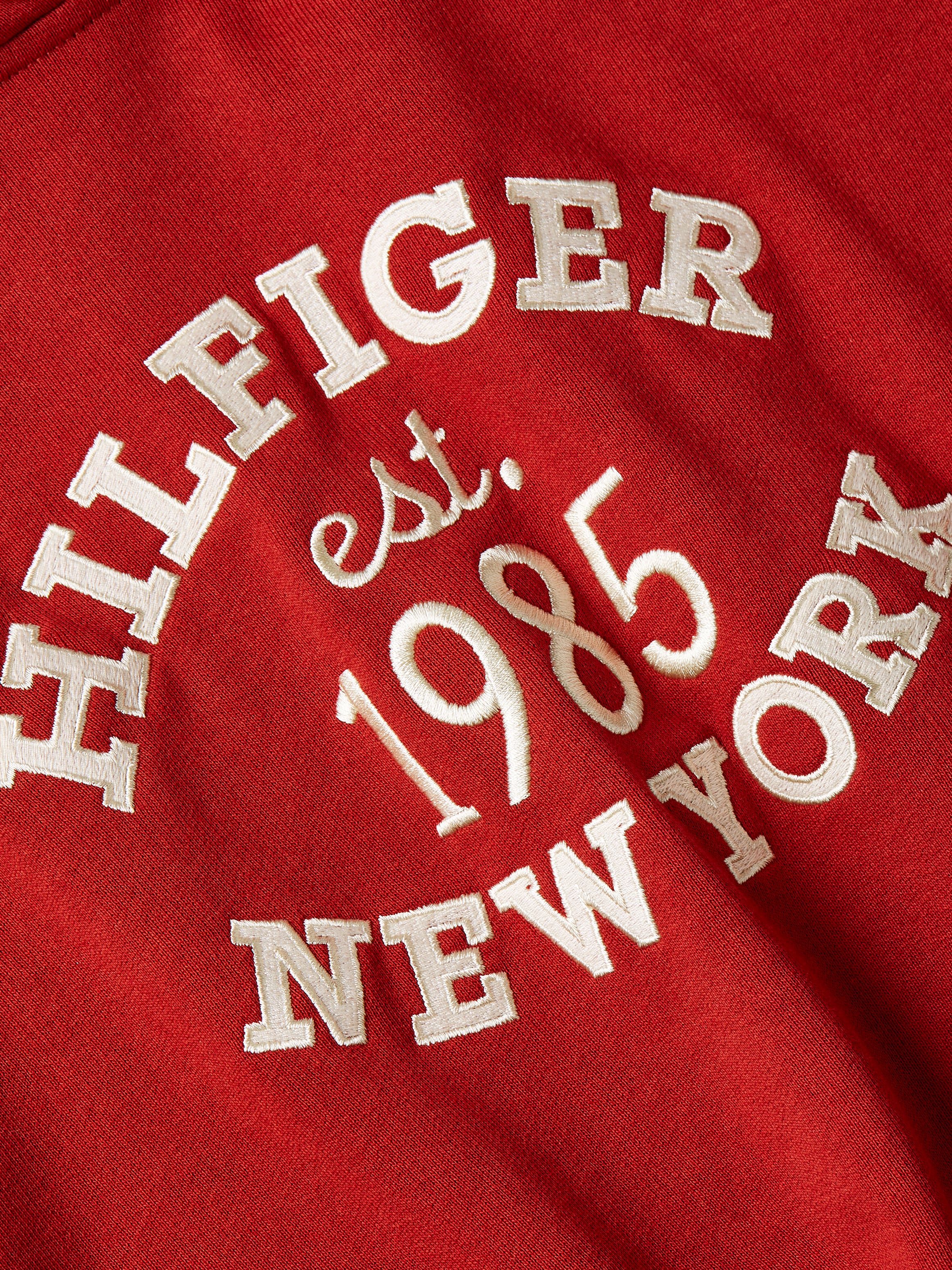Tommy Hilfiger Kapuzensweatshirt »MDRN REG VARSITY HOODIE«, mit Kapuze