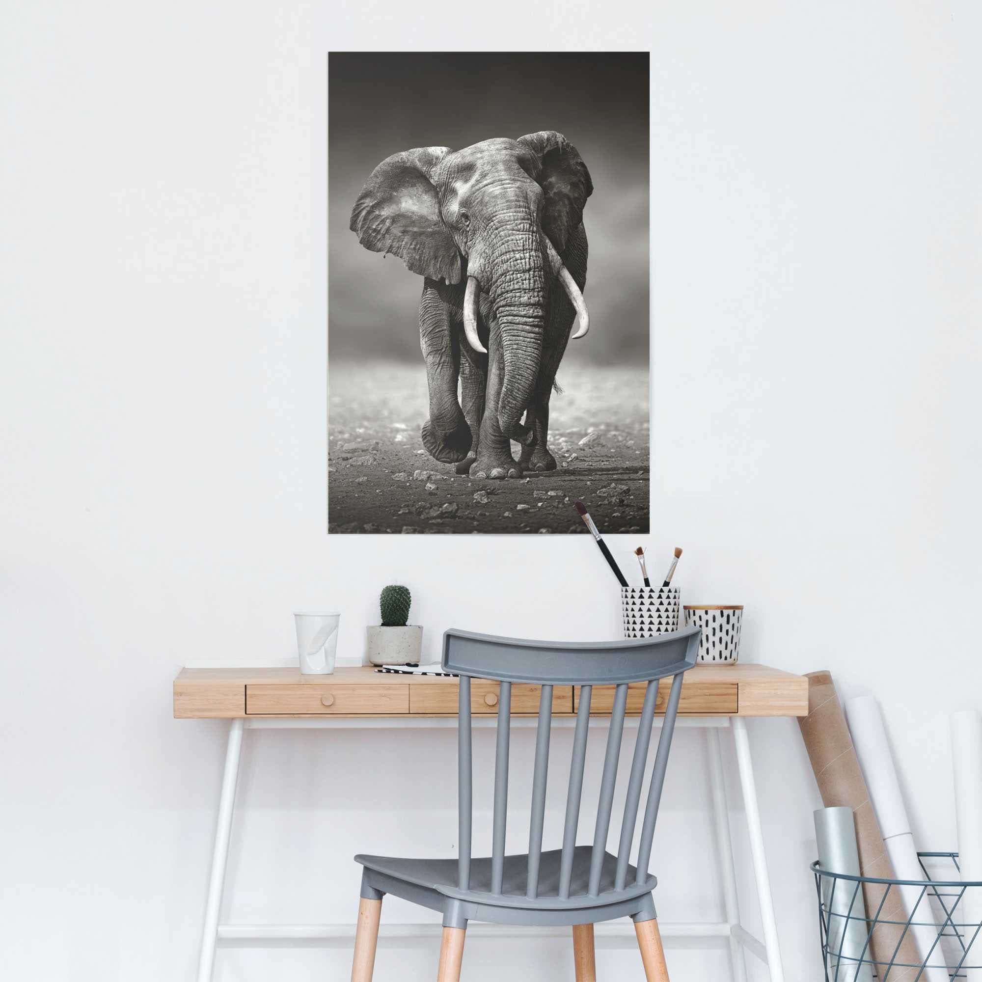 Reinders! Poster Raten »Poster (1 auf Wanderung«, St.) Elefanten, kaufen Elefant