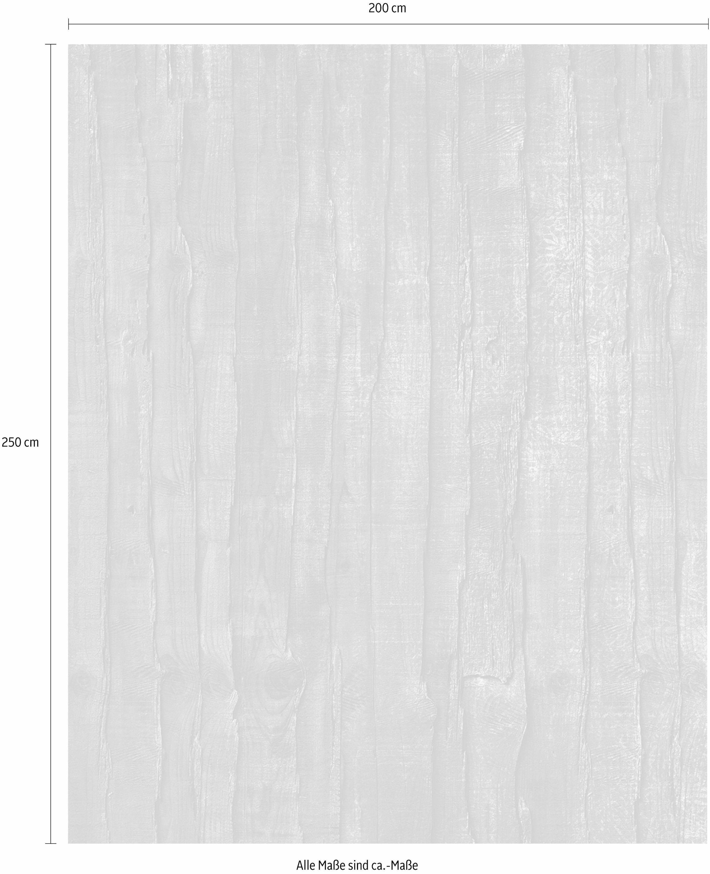 Komar Vliestapete »Digitaldruck Vlies -  Caress - Größe 200 x 250 cm« bedruckt glatt Wohnzimmer, Schlafzimmer