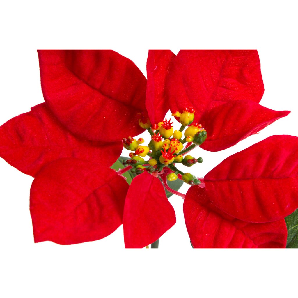 Botanic-Haus Kunstblume »Edel-Poinsettienpick«