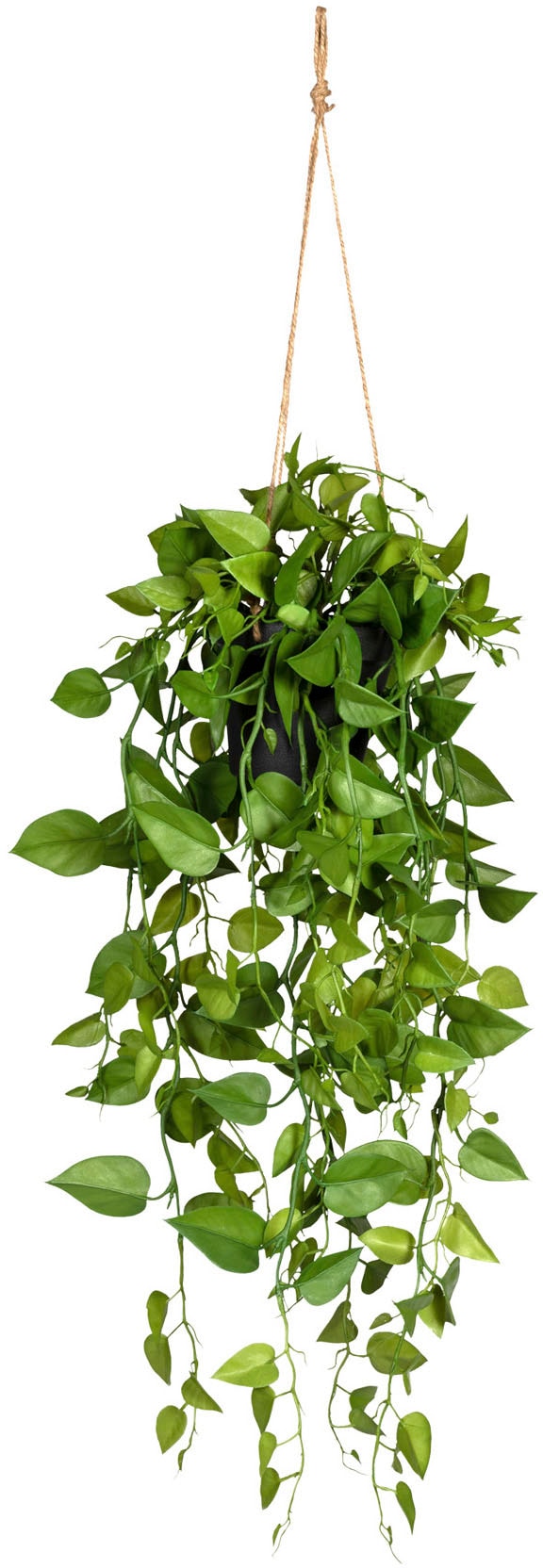 Kunstranke Rechnung green im kaufen Hängetopf Creativ auf »Philodendronhänger«,