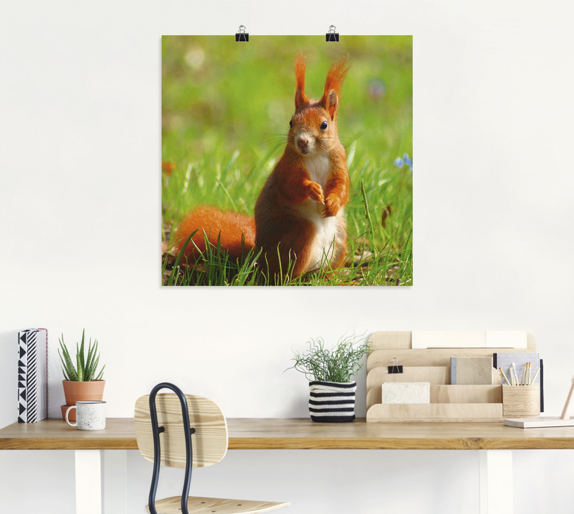 Artland Poster »Eichhörnchen Kontakt«, Wildtiere, (1 St.), als Leinwandbild, Wandaufkleber oder Poster in versch. Größen