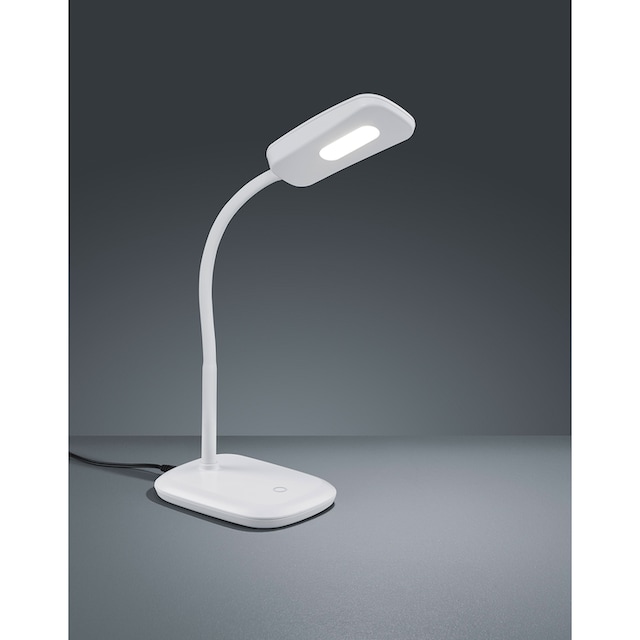 TRIO Leuchten LED Tischleuchte »Boa«, 1 flammig-flammig, Schreibtischlampe,  weiß, Touch Dimmer, warmweiß, verstellbarer Flexarm online kaufen | mit 3  Jahren XXL Garantie