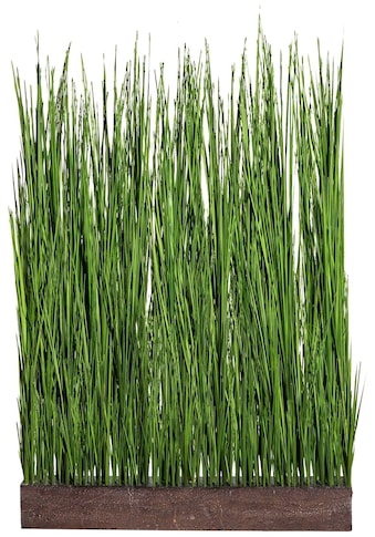 Creativ green Kunstgras »Gras Raumteiler«, (1 St.) kaufen