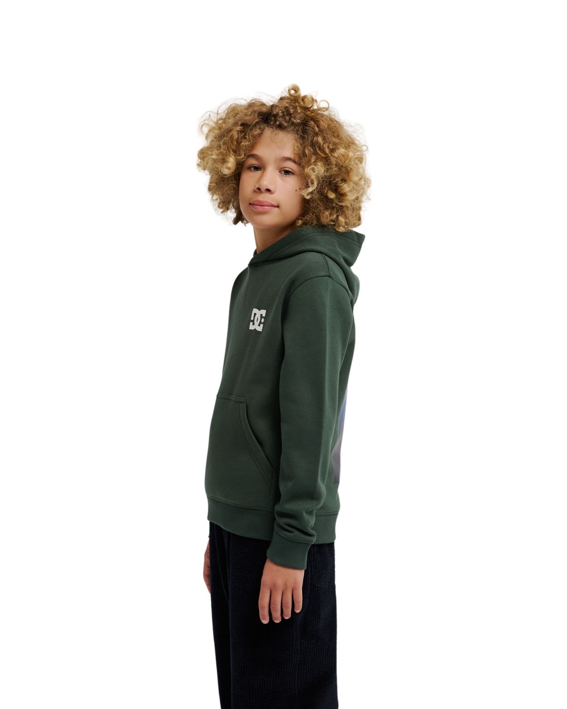 DC Shoes Hoodie »Pushing Forward«
