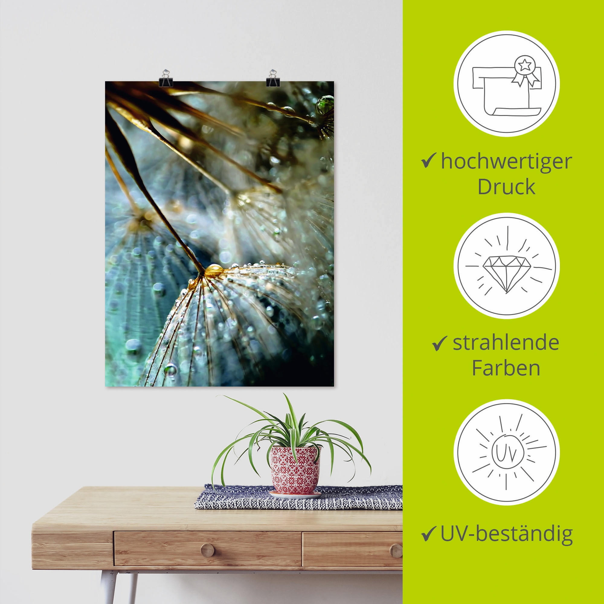 Artland Poster »Pusteblume Mystische Schönheit« Blumen 1 Stk. tlg. ohne Rahmen