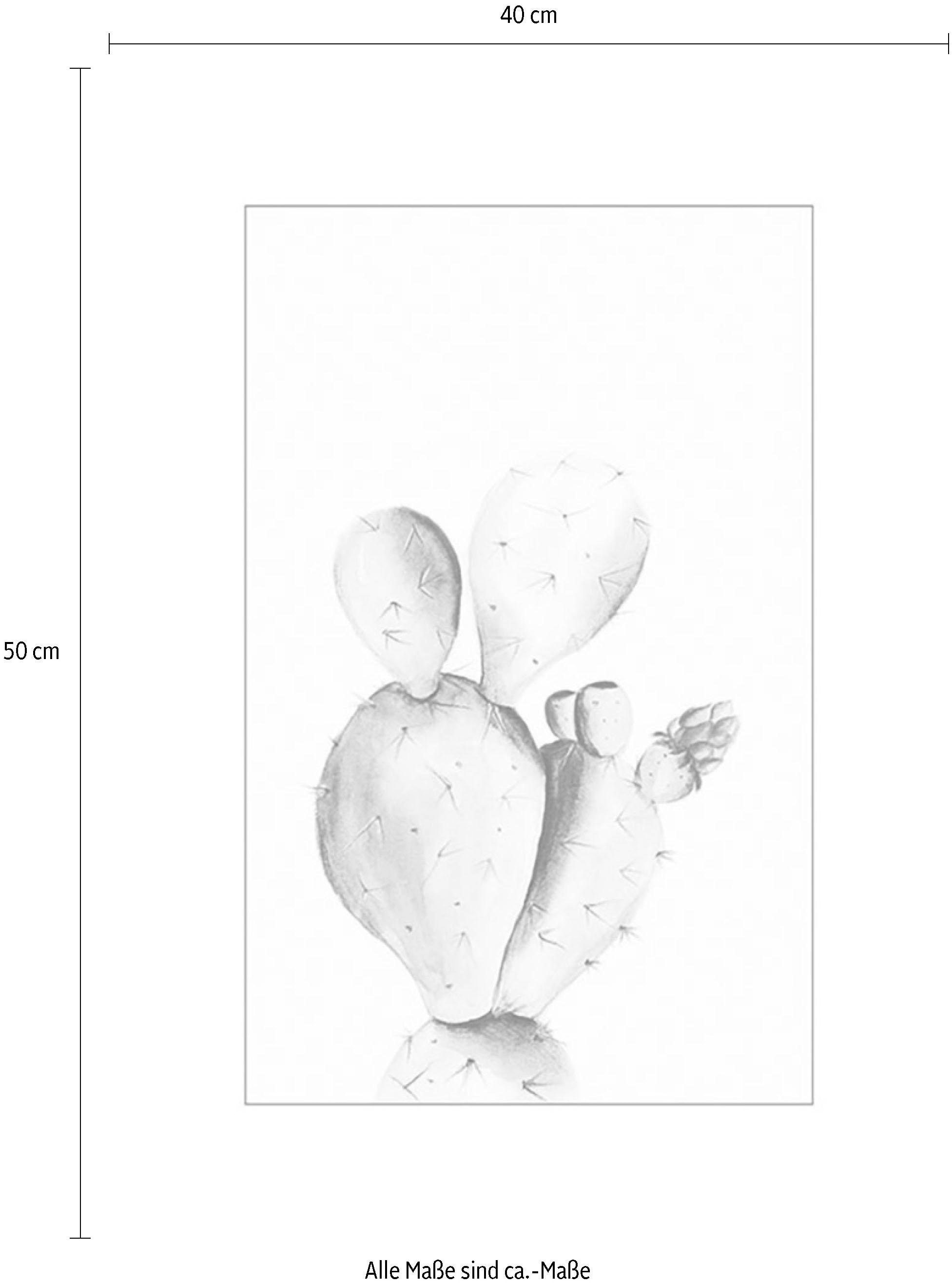 Pflanzen-Blätter, online Watercolor«, Kinderzimmer, mit Komar | Jahren 3 St.), Pear Schlafzimmer, (1 Poster »Prickly kaufen XXL Garantie Wohnzimmer