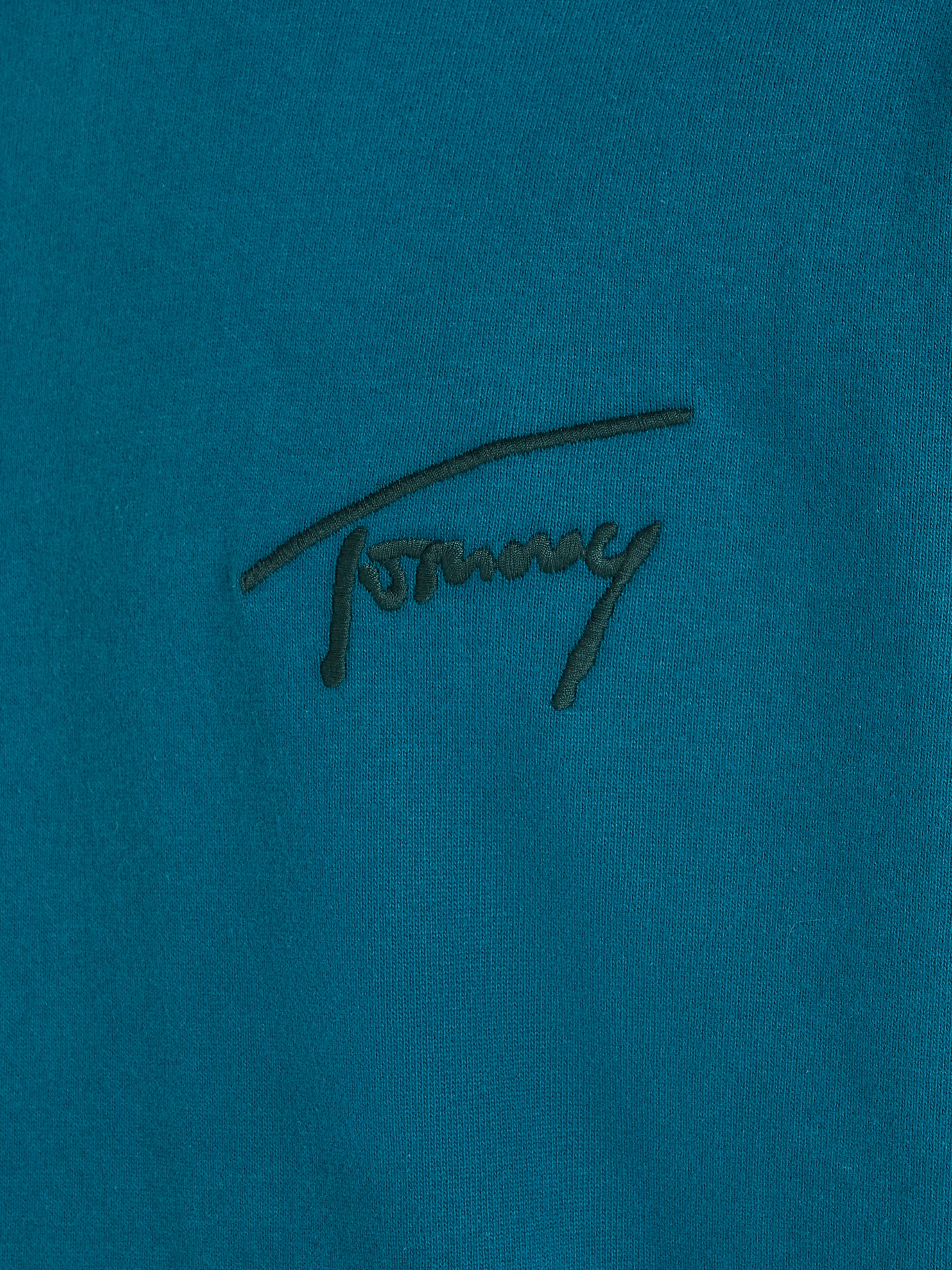 Tommy Jeans Kapuzensweatshirt »TJM RLX SIGNATURE HOODIE EXT«, mit aufgesticktem Signatur-Logo