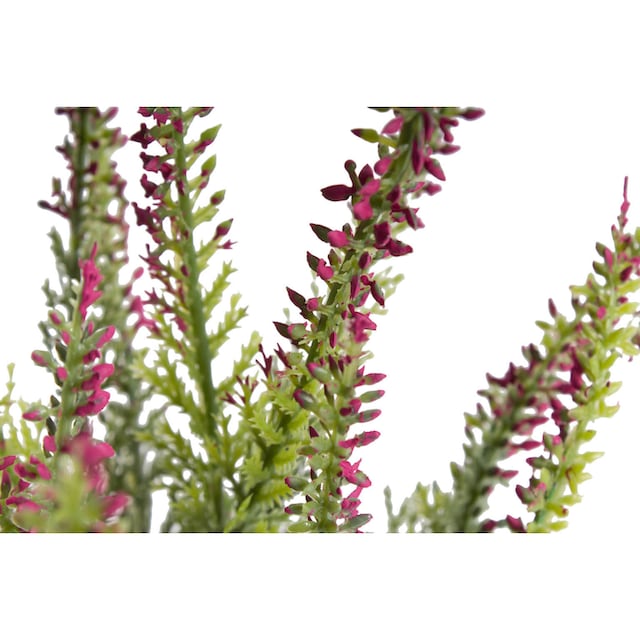 Botanic-Haus Kunstblume »Erikabusch mit 15 Stielen« auf Raten bestellen