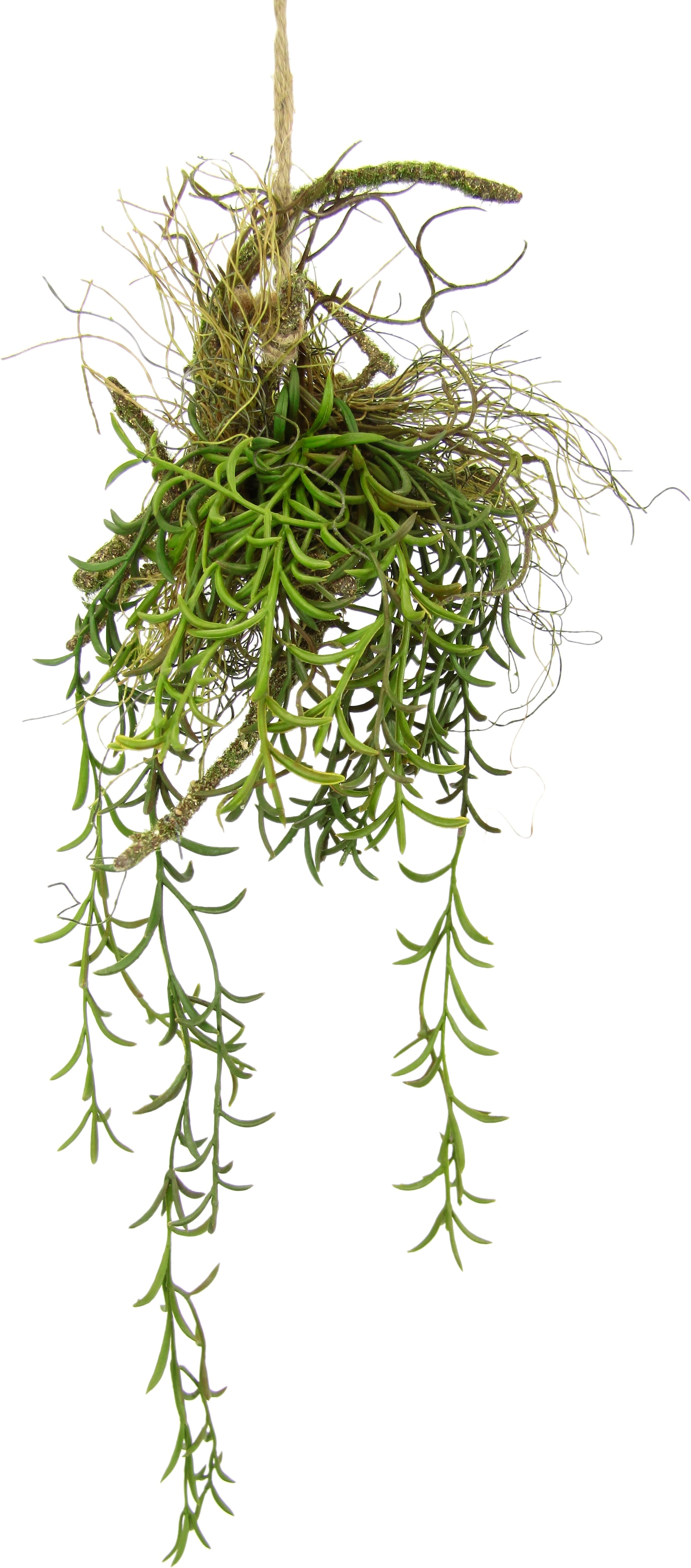 Rechnung auf Hänger kaufen »Tillandsia«, Kunstpflanze auf Moos I.GE.A. Hängeampel Künstlicher Kunstpflanze Ast