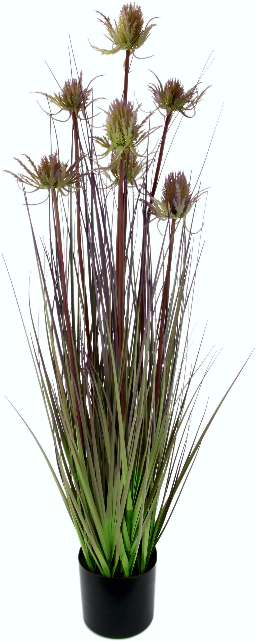 bestellen Botanic-Haus Raten Zimmerpflanze Künstliche - »Lavendel auf Erika im Korb« Arrangement