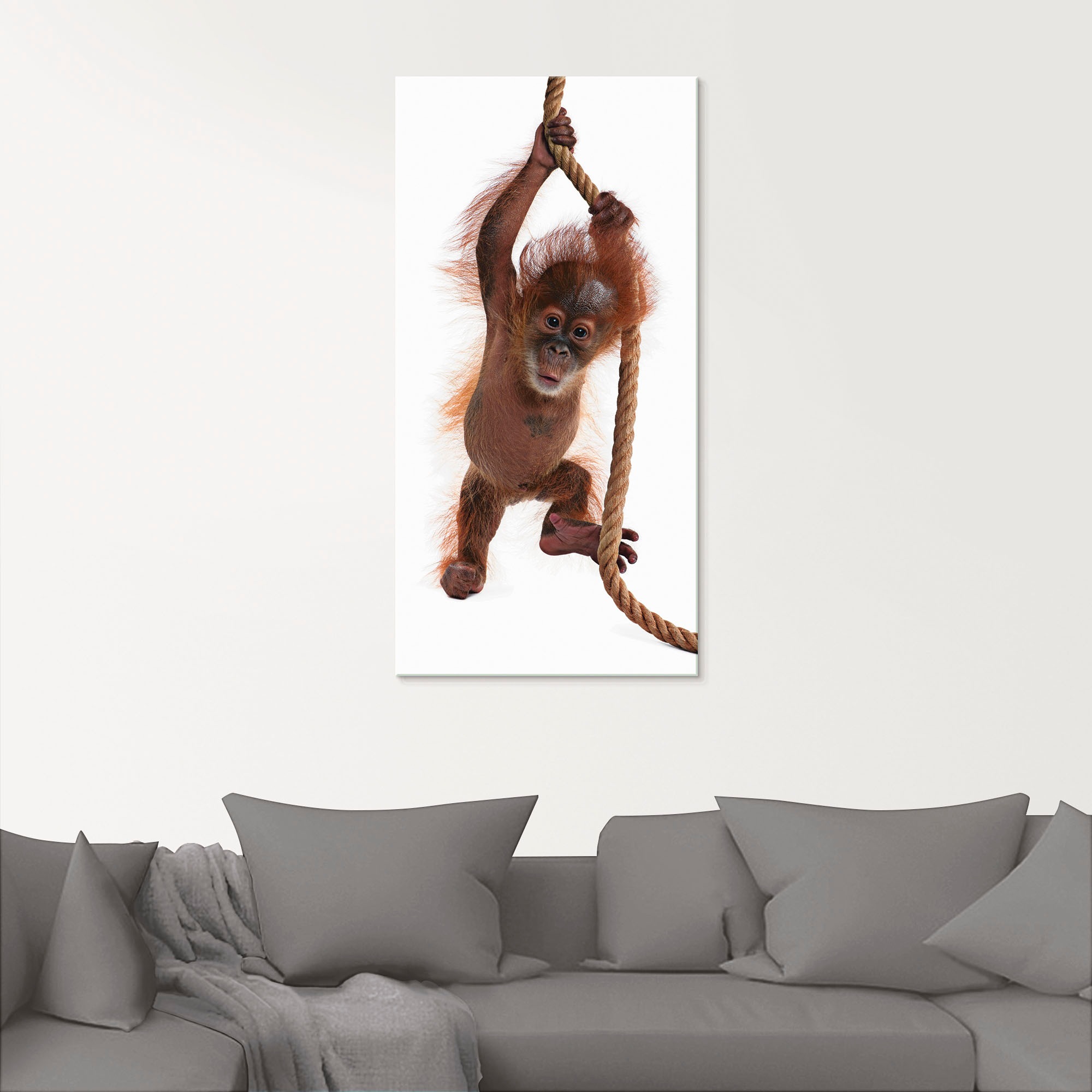 Artland Glasbild »Baby Orang Utan hängt am Seil I«, Wildtiere, (1 St.), in verschiedenen Größen