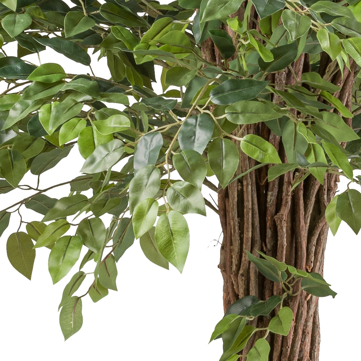 Creativ green Kunstpflanze »Ficus benjamina« mit lianenartigem Stamm