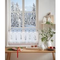 my home Scheibengardine »WICHTEL«, (1 St.), für die Weihnachtszeit mit Schlaufenaufhängung, für die Küche