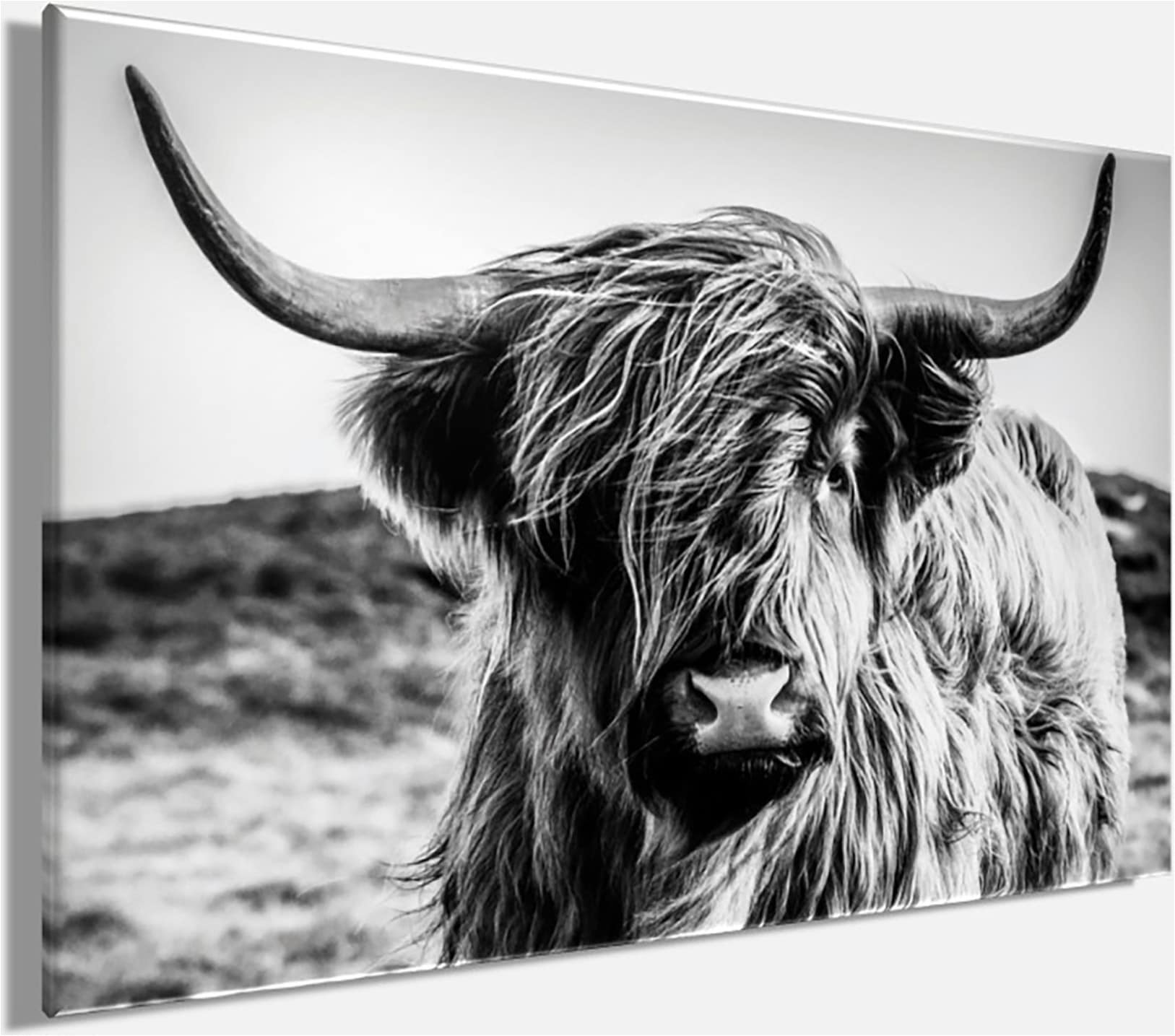 Bönninghoff Leinwandbild »Wandbild HOCHLANDRIND – Leinwandbild Keilrahmen Deko modern« Hochlandrind | Kuh | Kuhbilder 1 Stk. tlg. auf Keilrahmen gespannt
