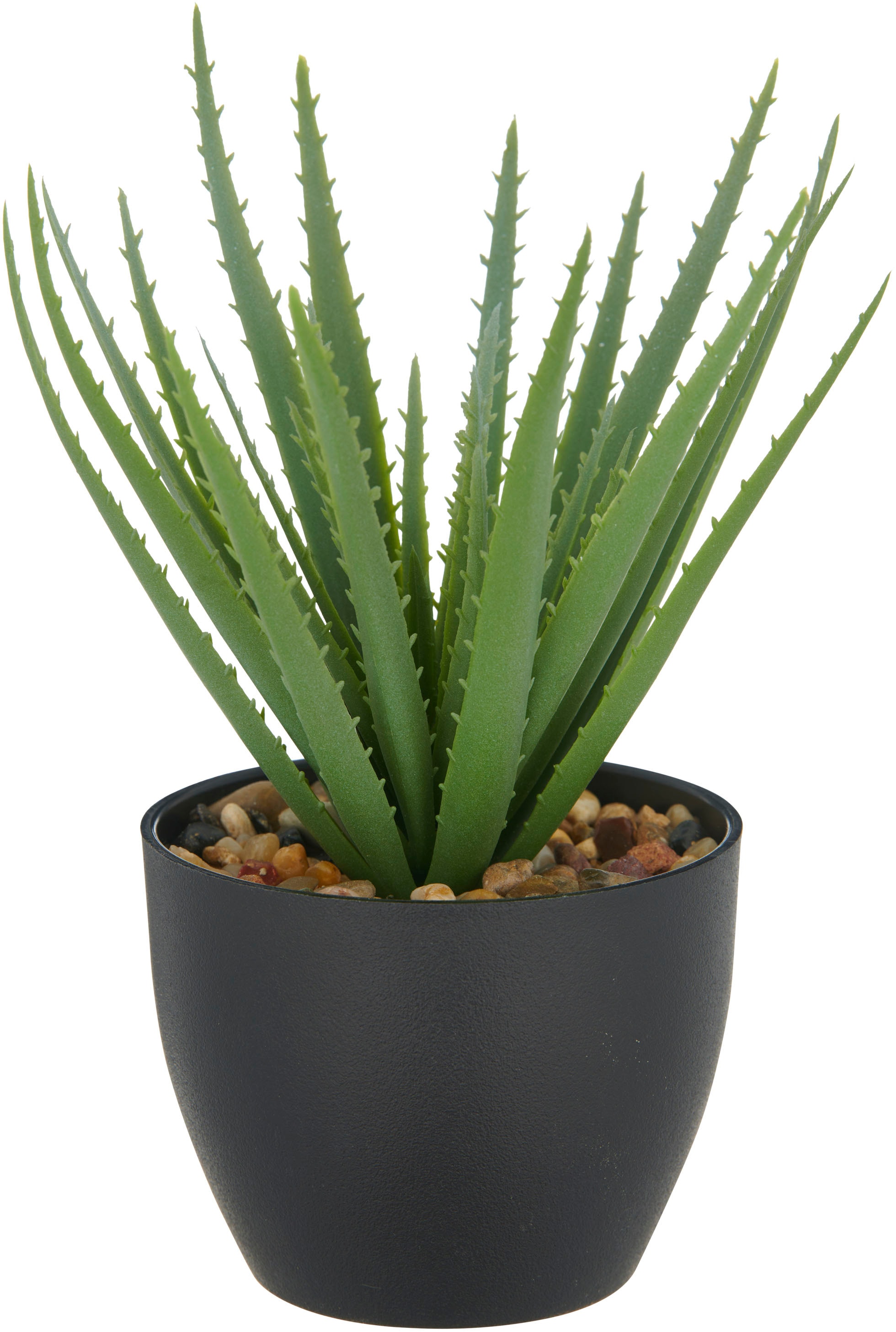 Creativ green Kunstpflanze »Sukkulenten« mit dekorativem Kies