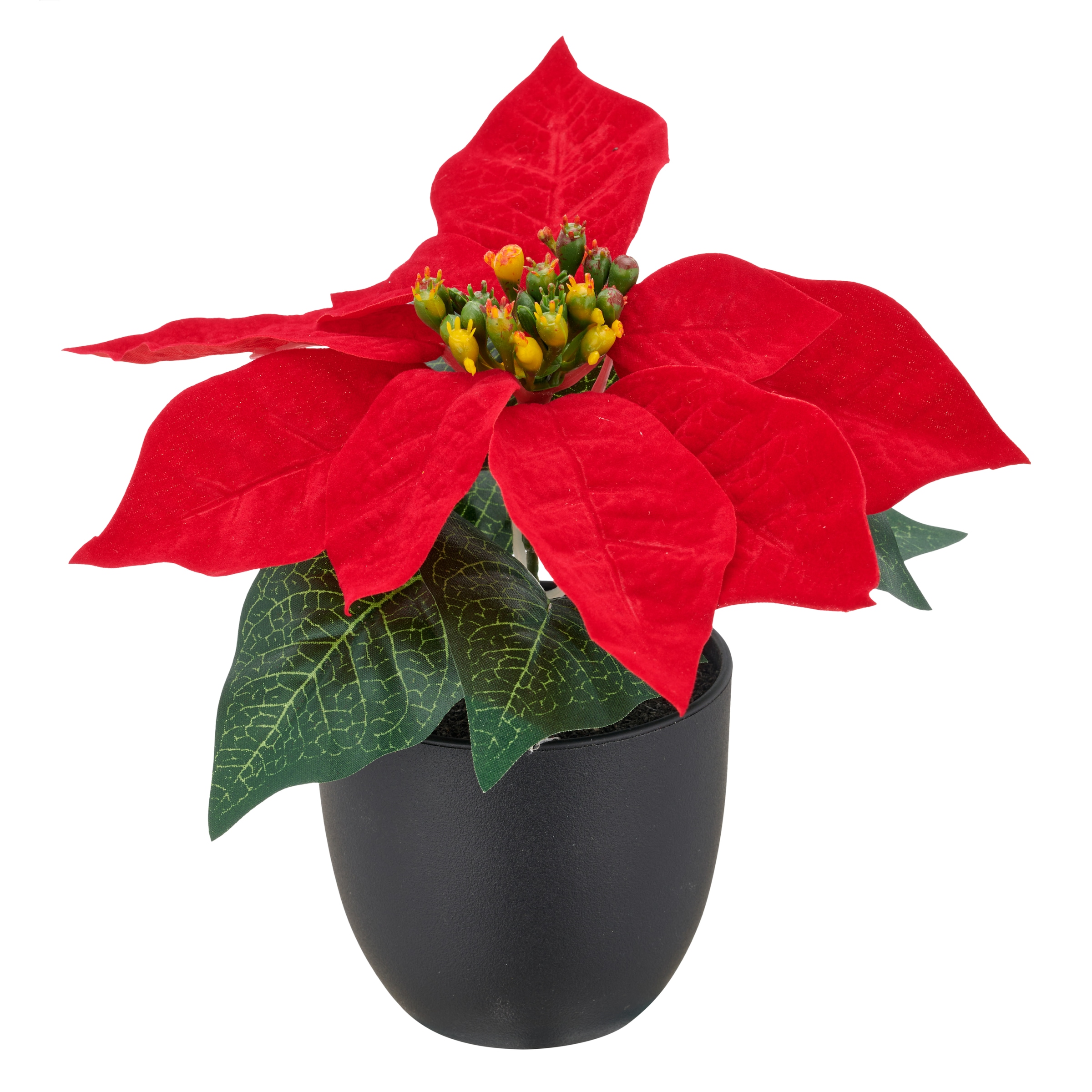 Creativ green Kunstblume »Weihnachtsstern« mit dauerhafter Blütenpracht