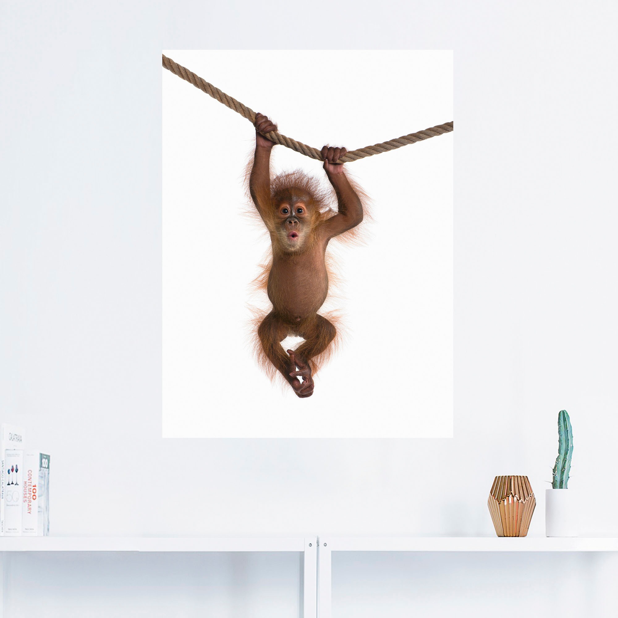 Artland Wandbild »Baby Orang Utan hängt an Seil II«, Wildtiere, (1 St.), als Alubild, Outdoorbild, Leinwandbild, Poster, Wandaufkleber