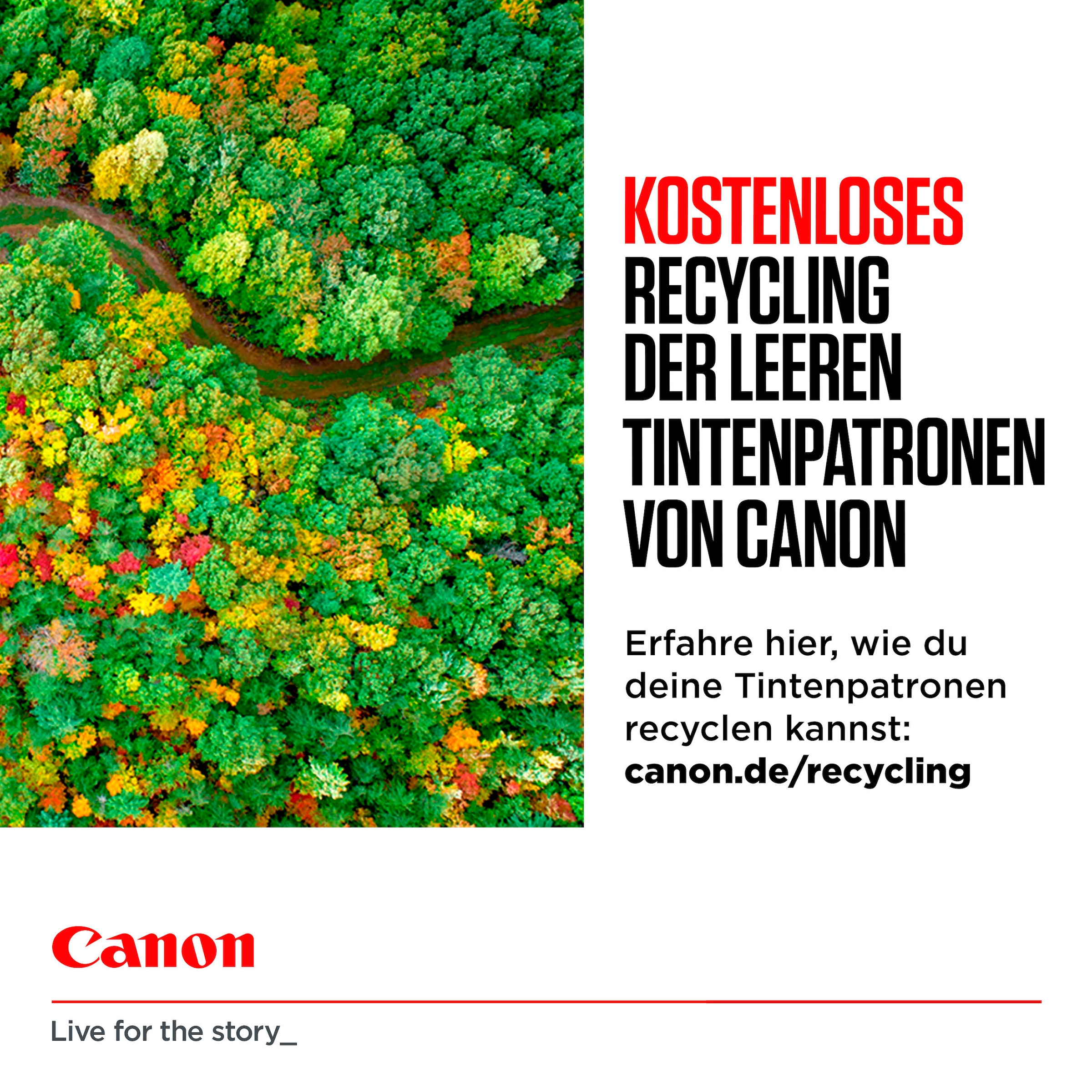 Canon Tintenpatrone »PG-545XL/CL-546XL + Photo Value Pack«, (Packung, 2 St.)