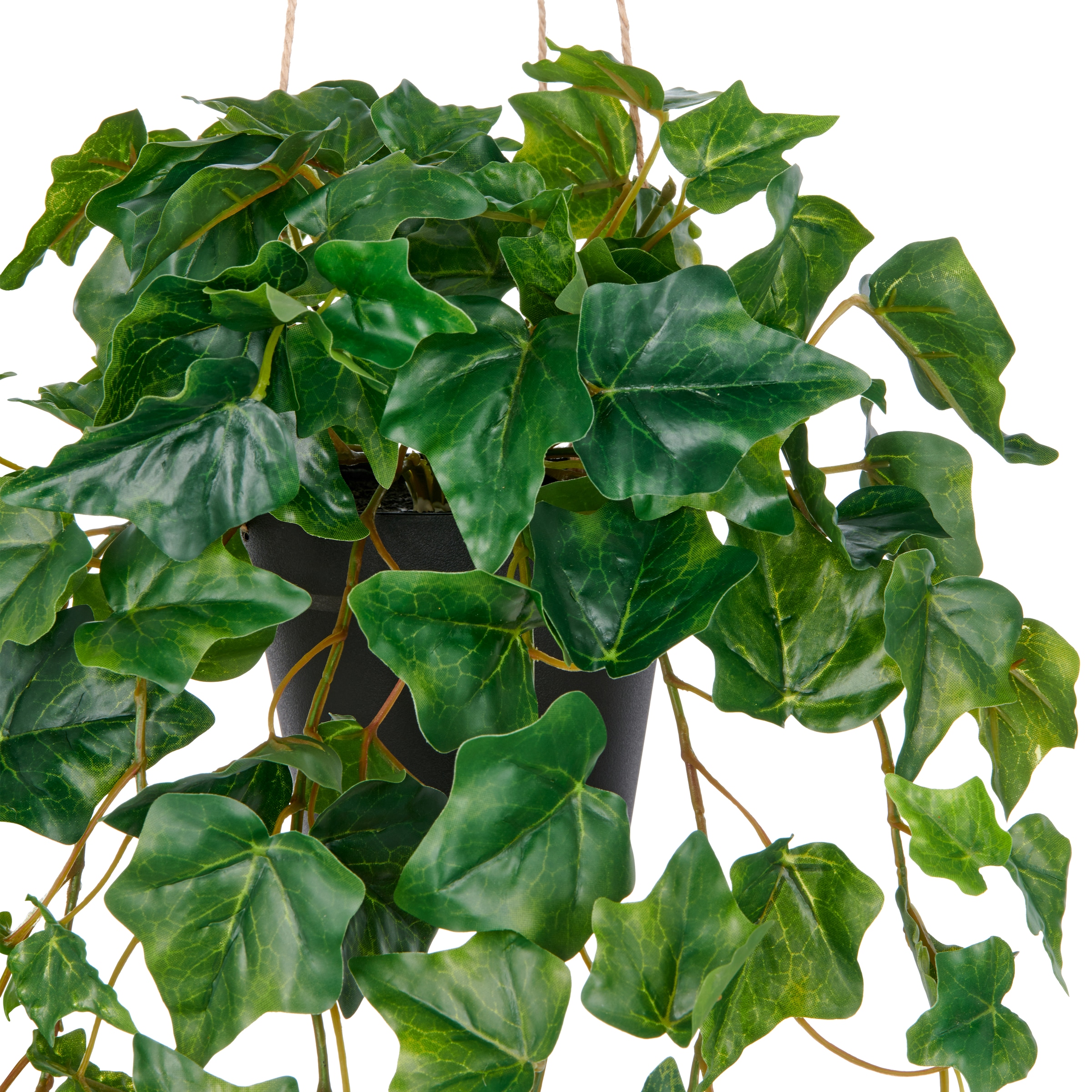 Creativ green Kunstpflanze »Efeuhänger« mit üppigen Ranken